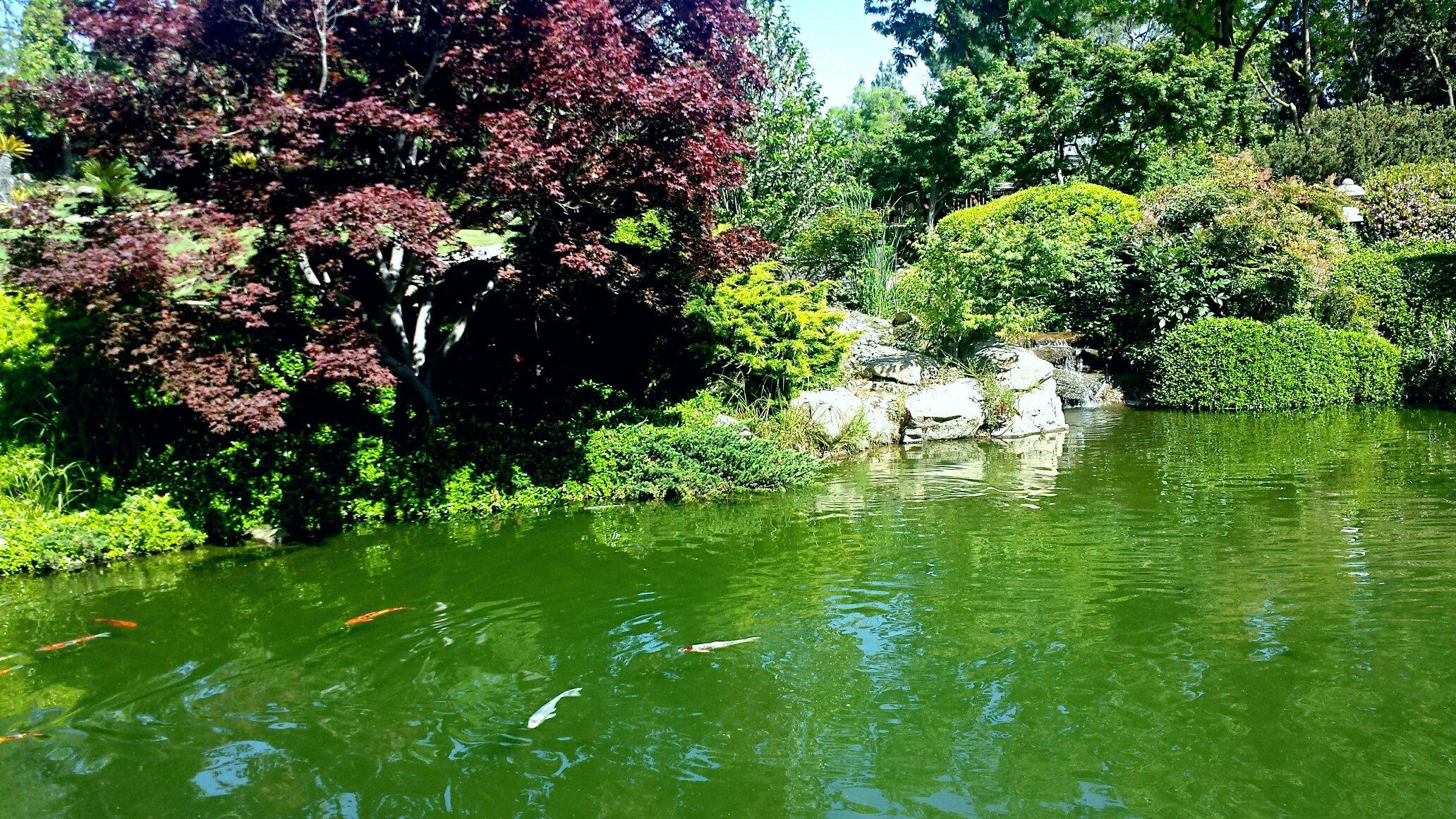 Shinzen Friendship Garden