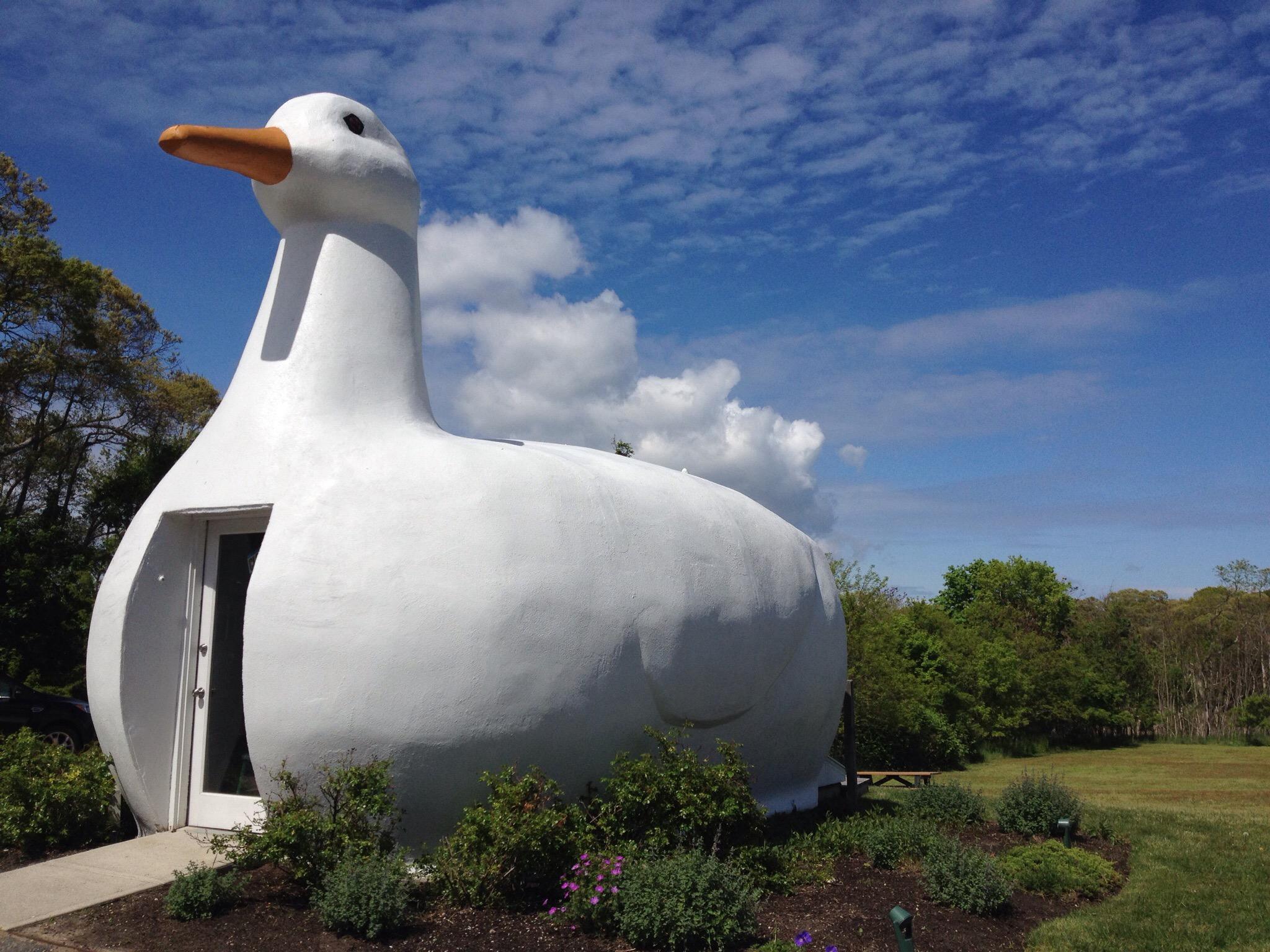 Photo by Dean_Amy-2004