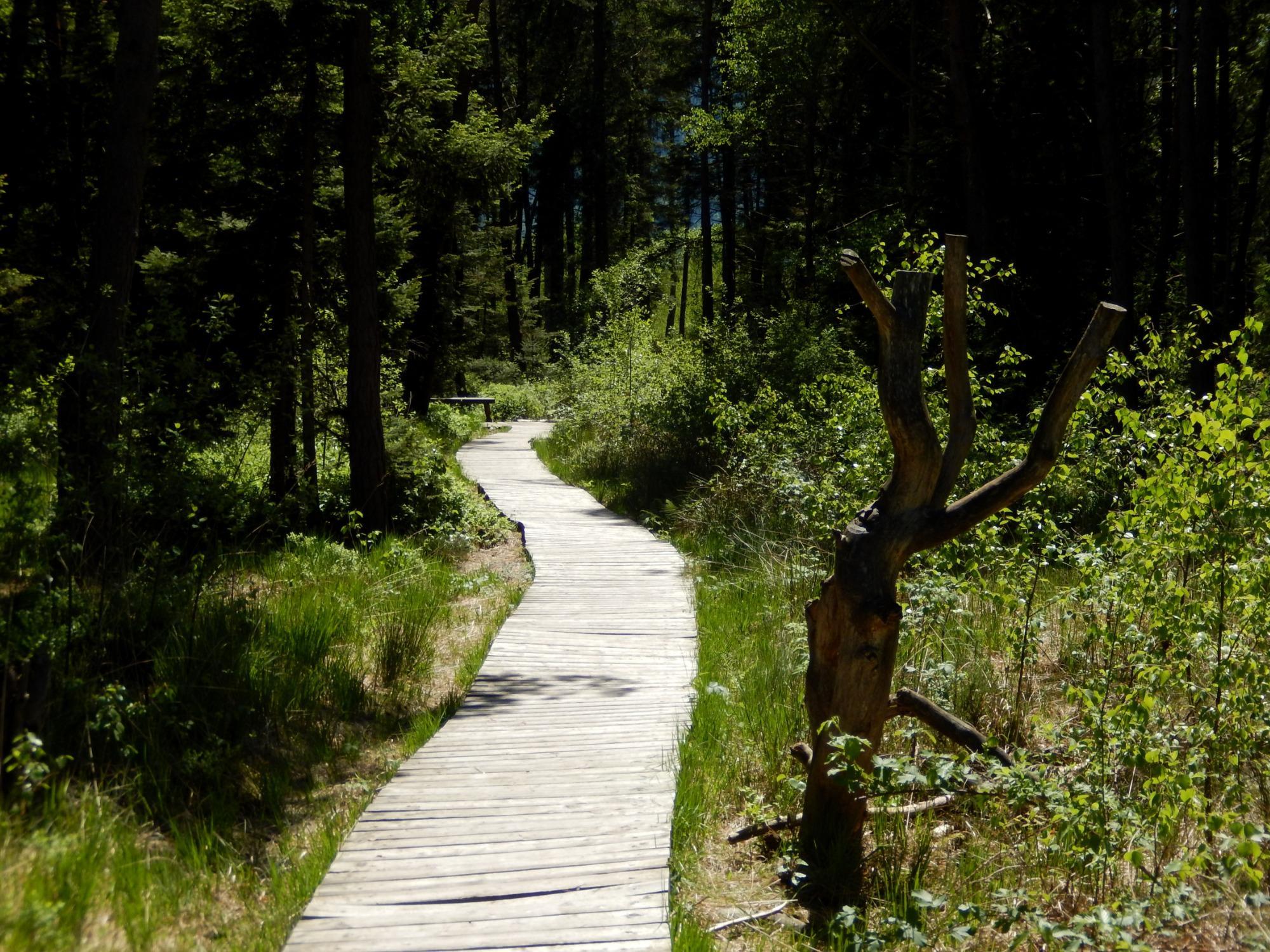 Moorerlebnis Sterntaler Filze