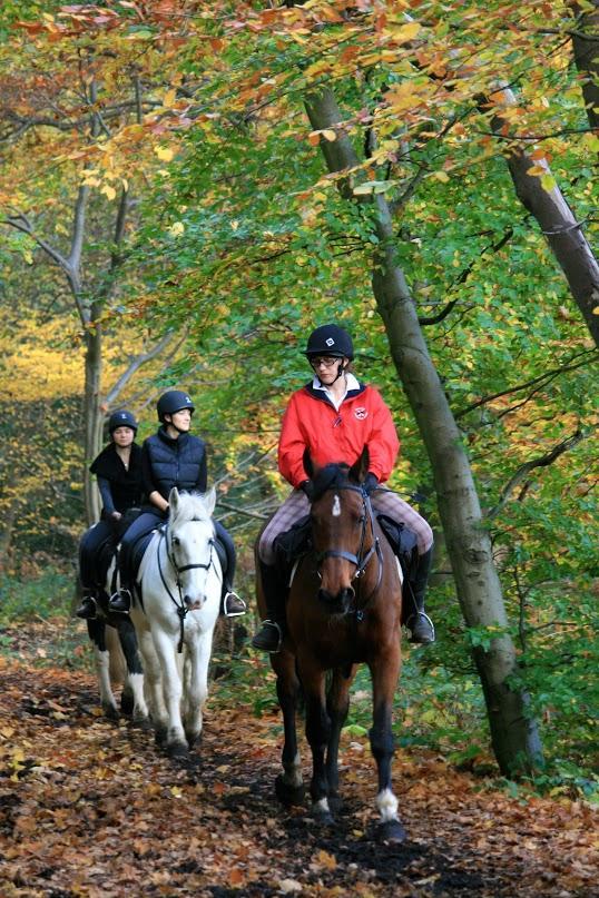 Trent Park Equestrian Centre