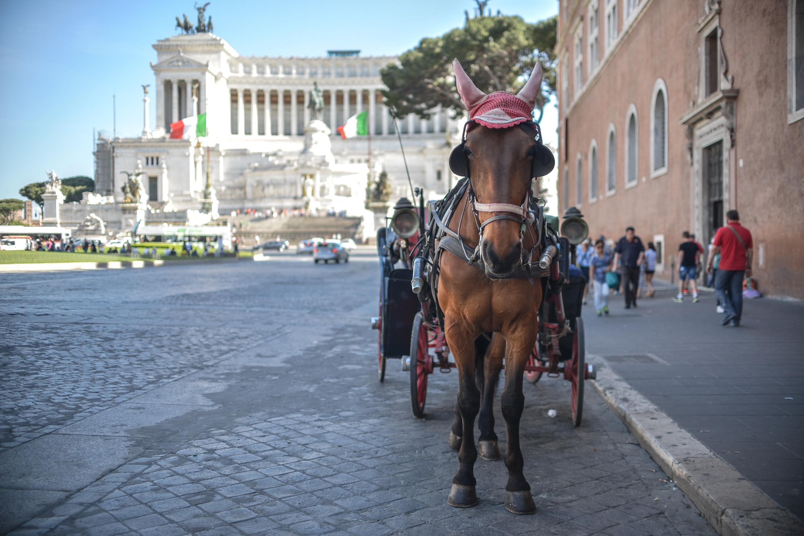 Yellowsquare Activities