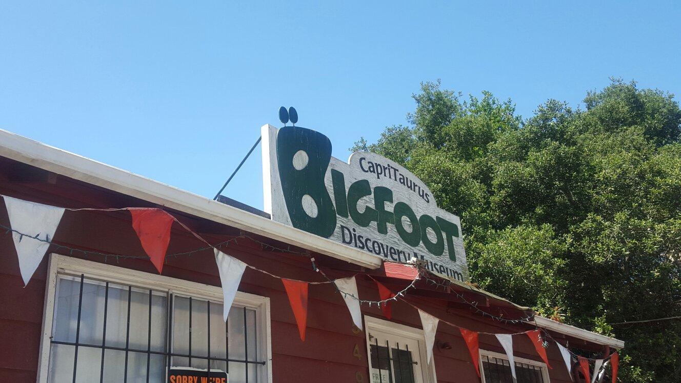 Photo by happycamperfitz