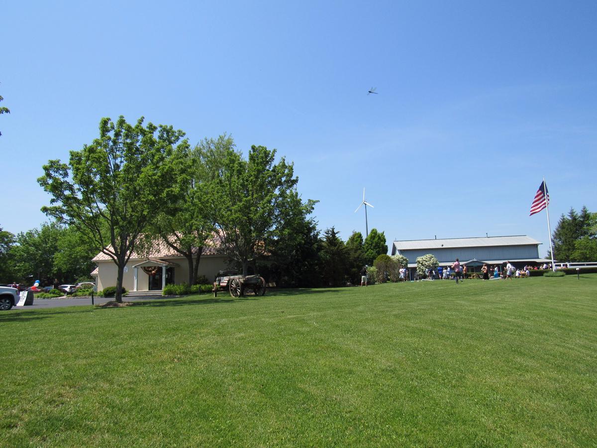 Ospreys Dominion Vineyards