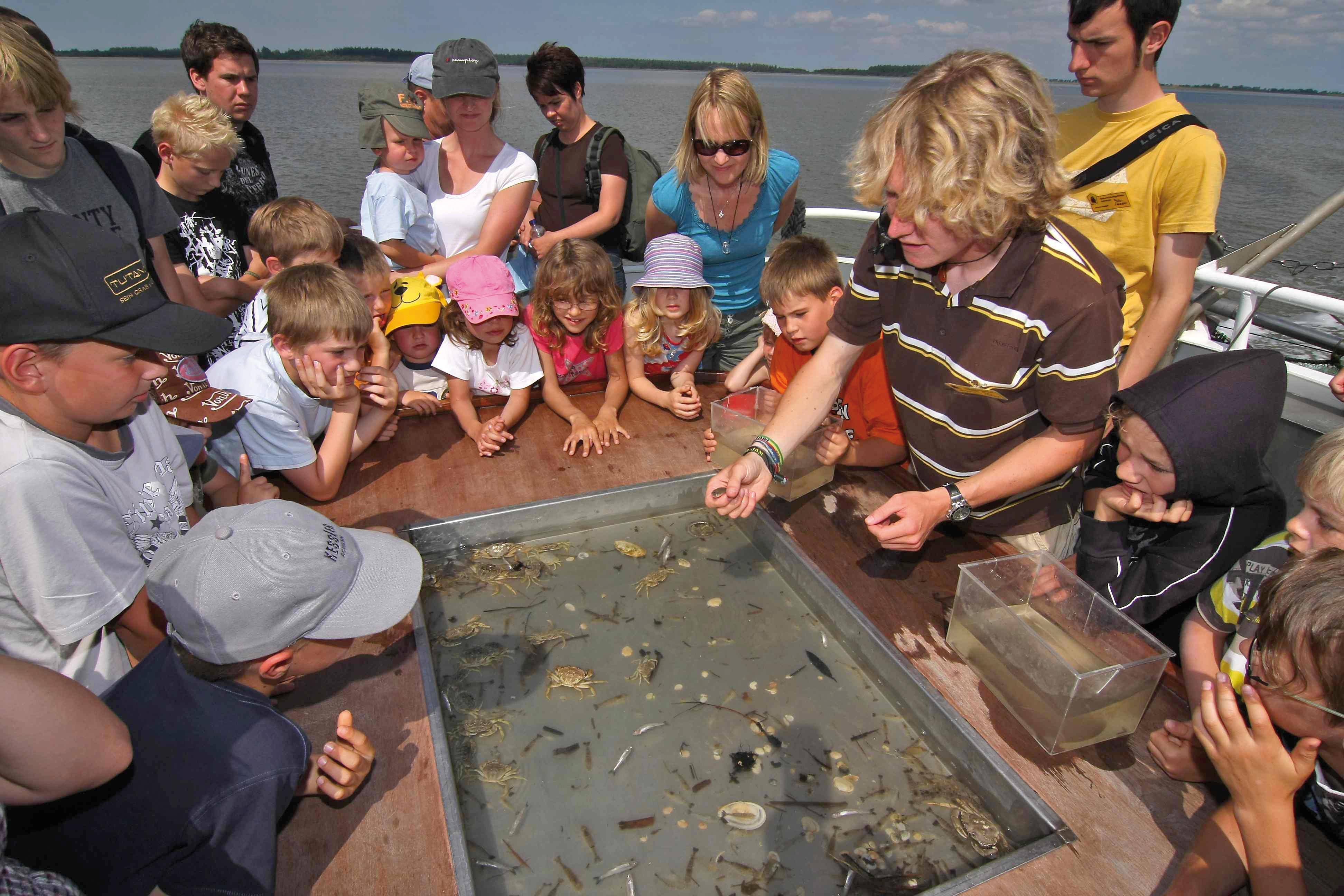 Adler-Schiffe GmbH & Co. KG