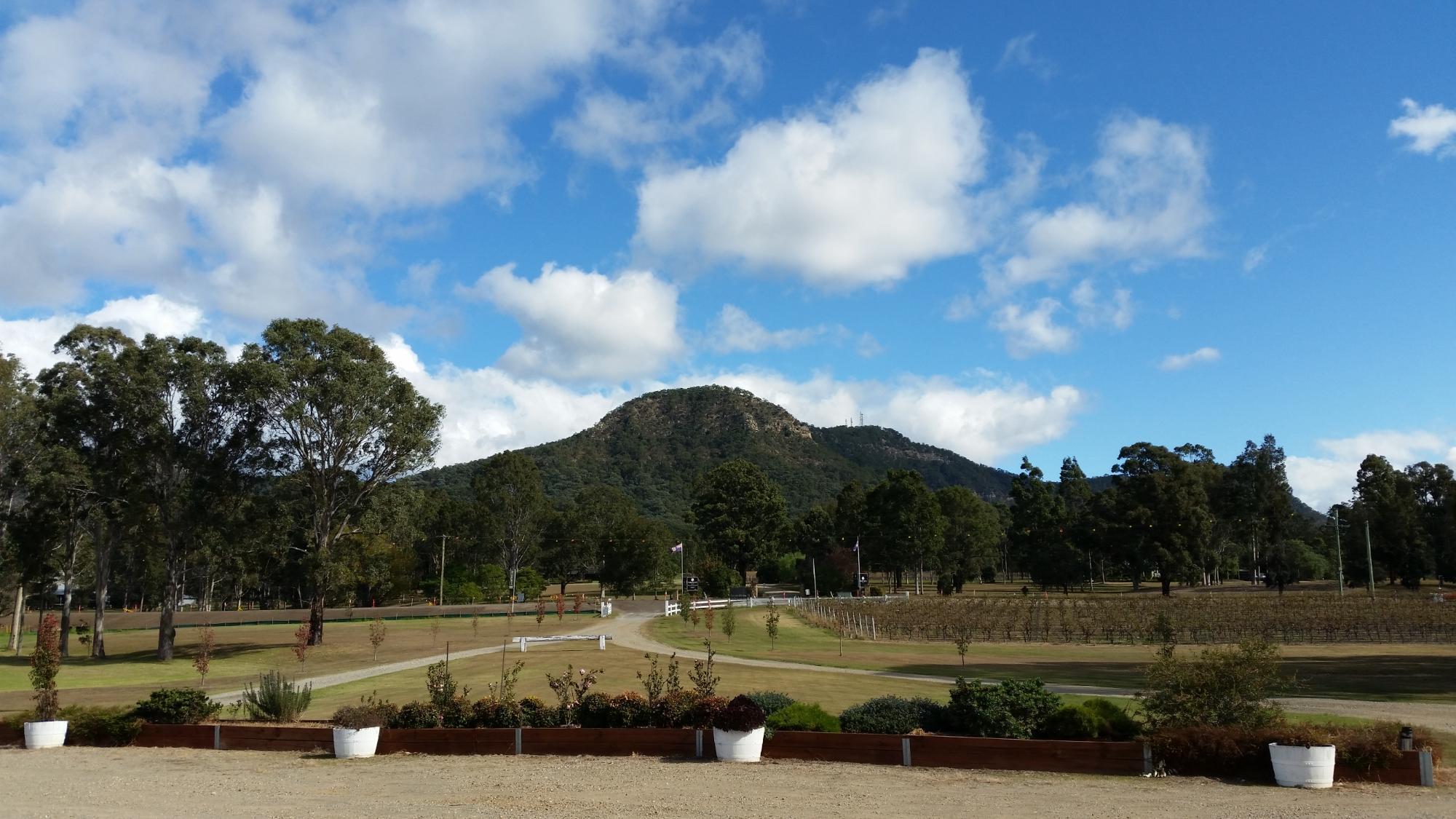 Glandore Estate Wines