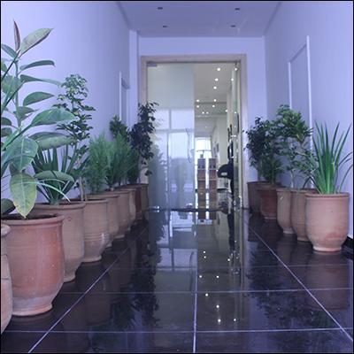 Jasmin et Citronnelle SPA