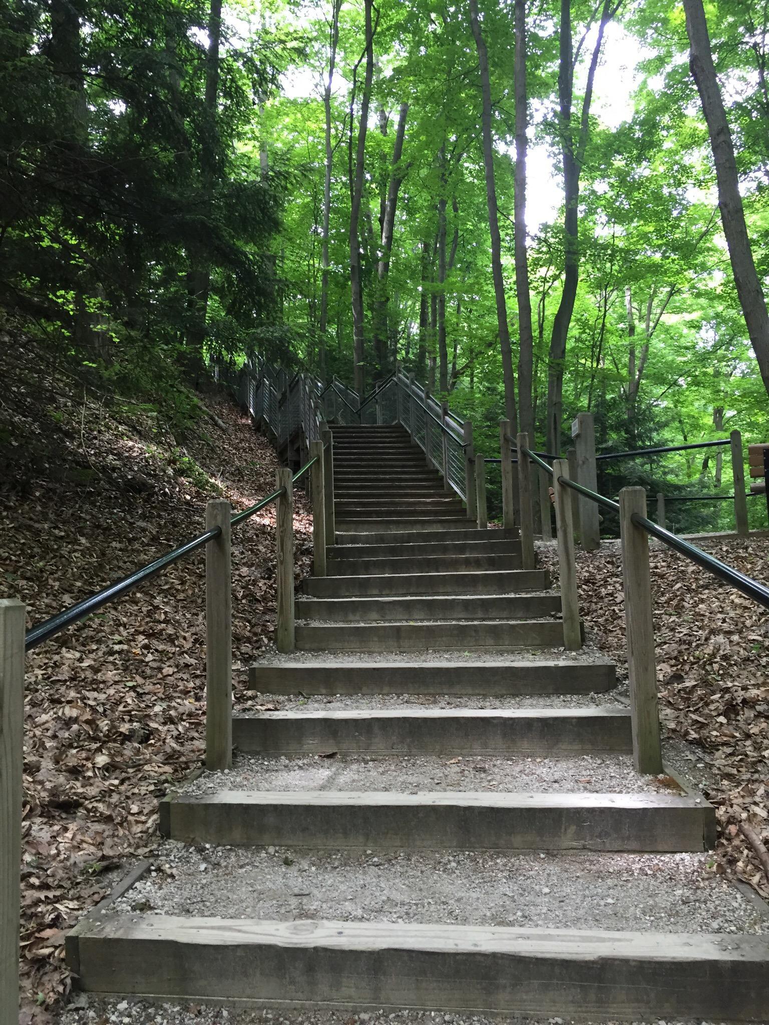Rosy Mound Natural Area