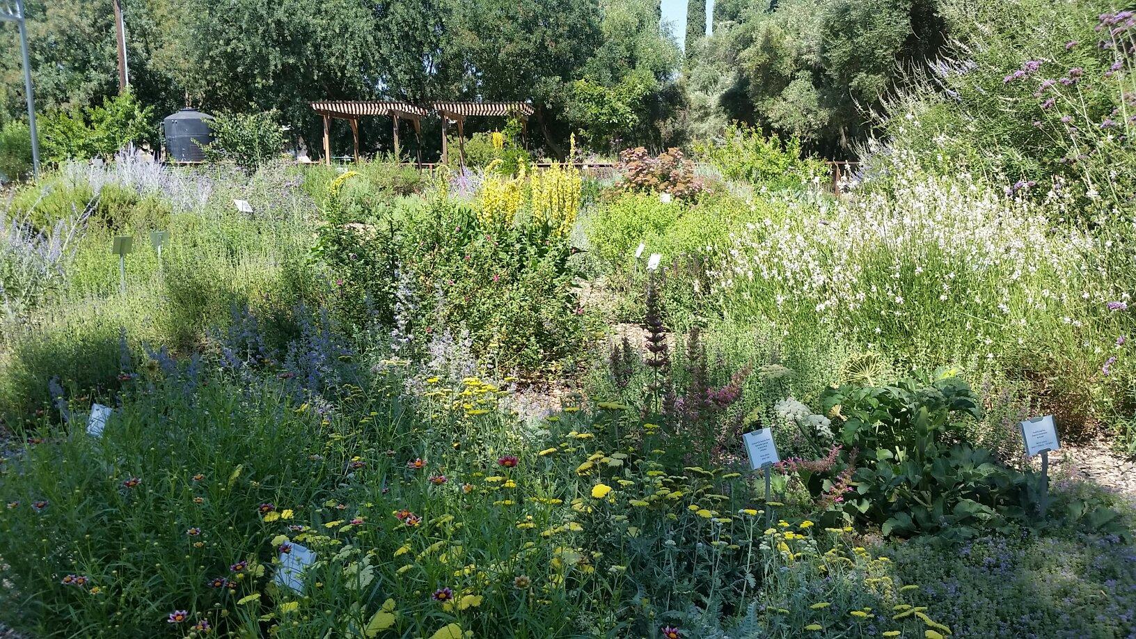 Häagen-Dazs Honey Bee Haven