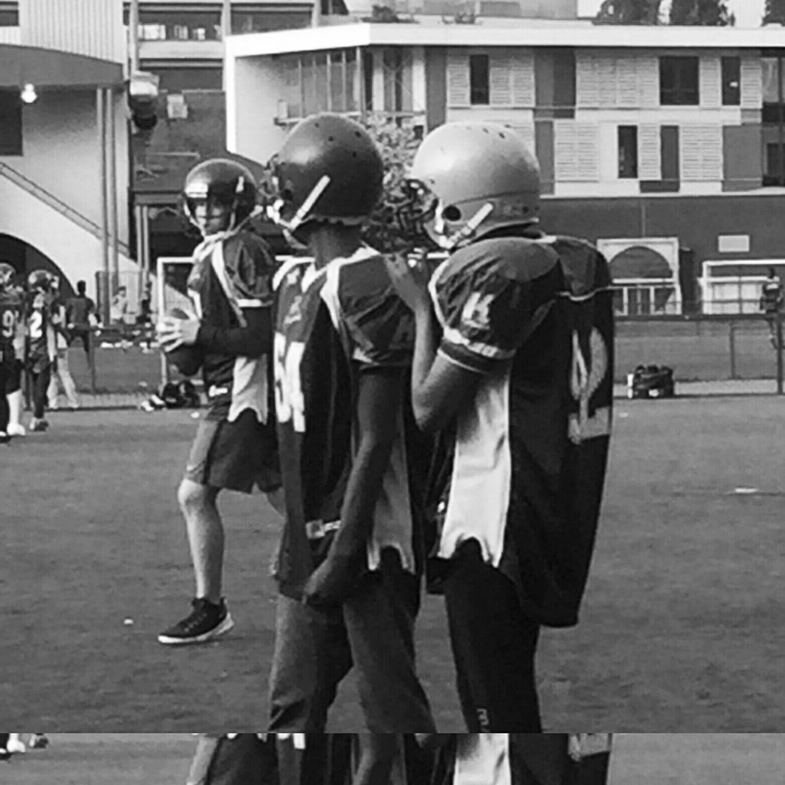 Dolphin Swimming Club