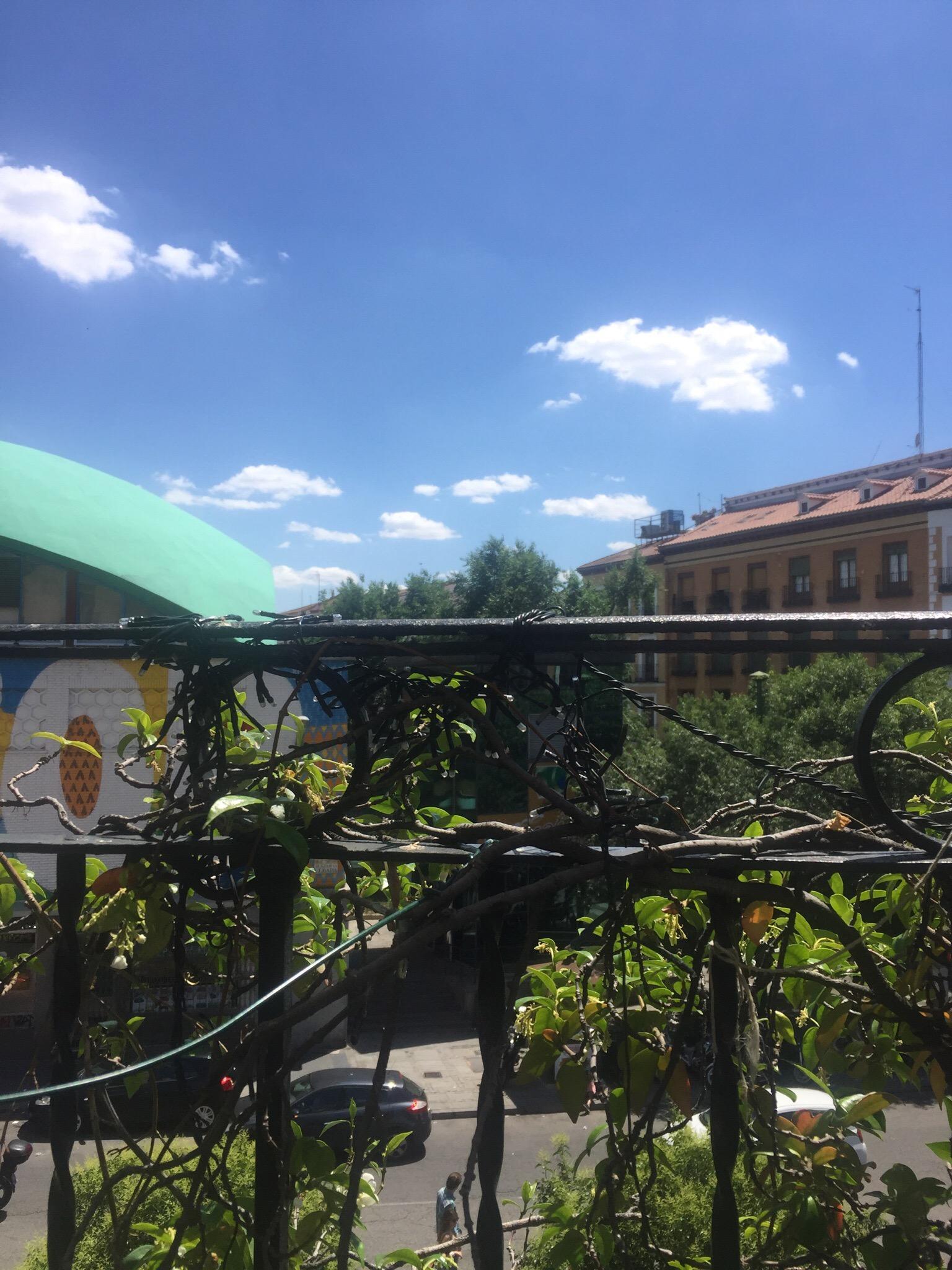 Photo by saraaK2660VL