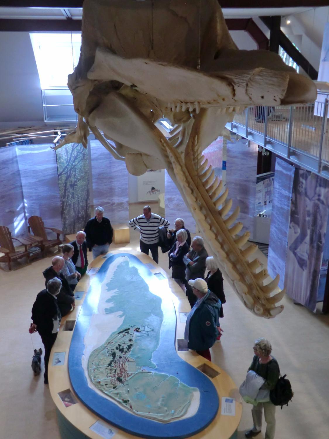 Nationalpark-Haus Wittbulten