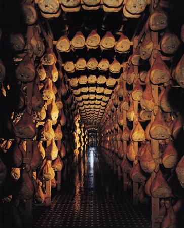 Food Valley Travel & Leisure