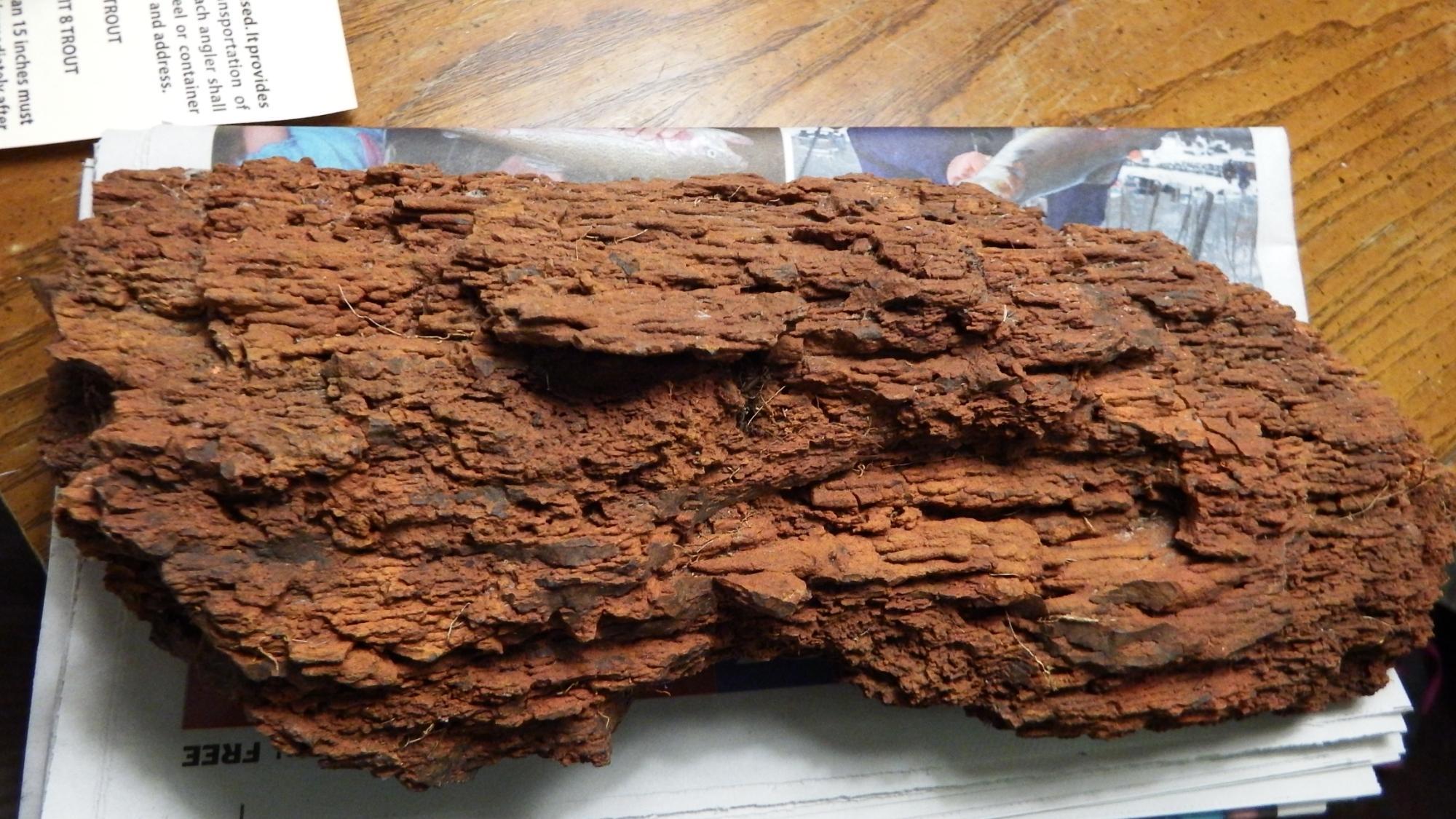 Fall Creek Rock Shop