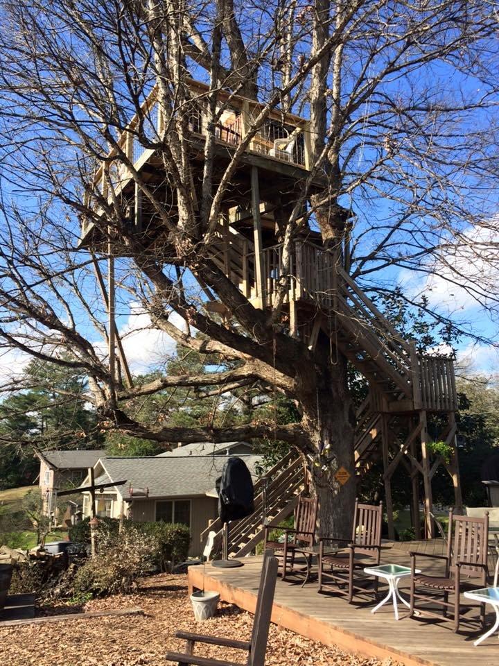 Treehouse Vineyards