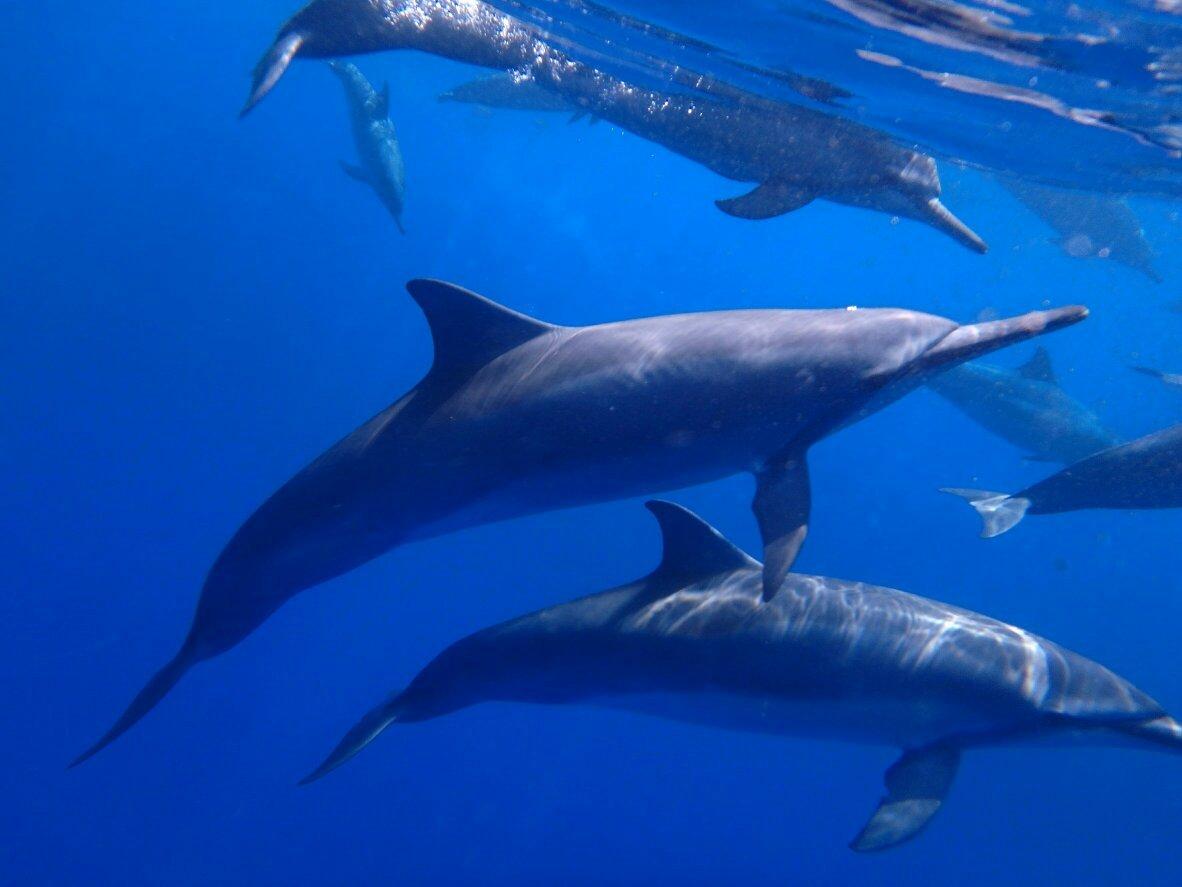 Photo by Connector808280