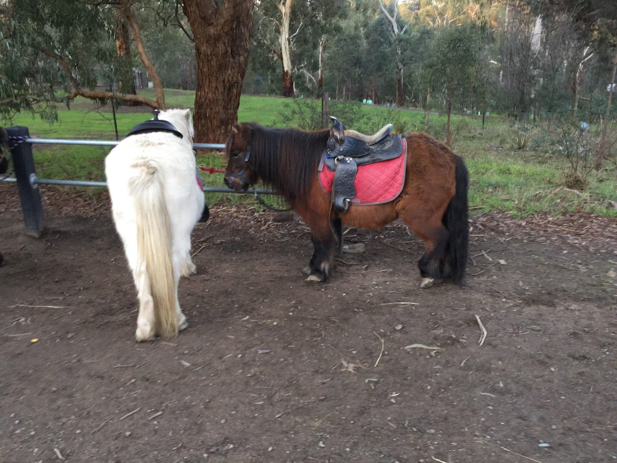 Photo by IshaChamoli