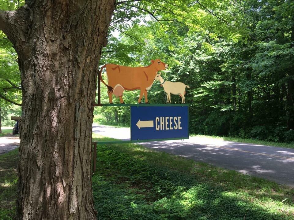 Evergreen Lane Farm and Creamery