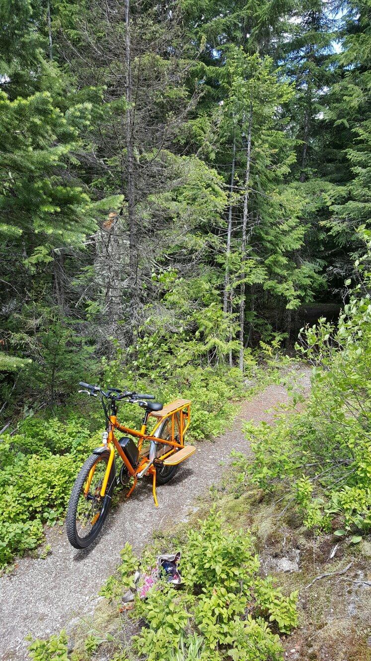 Photo by RobertW7440