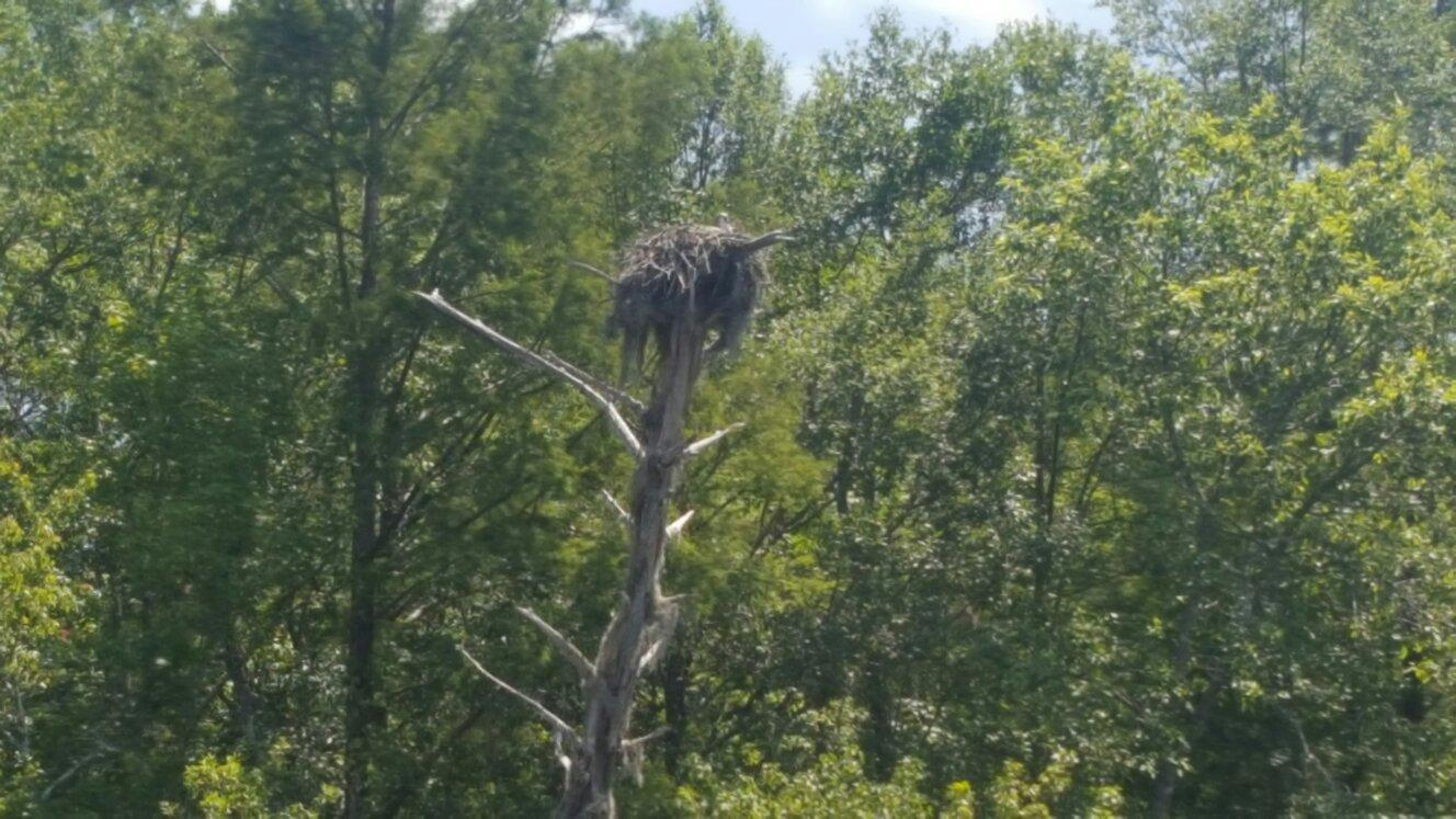 Photo by DarthLobster