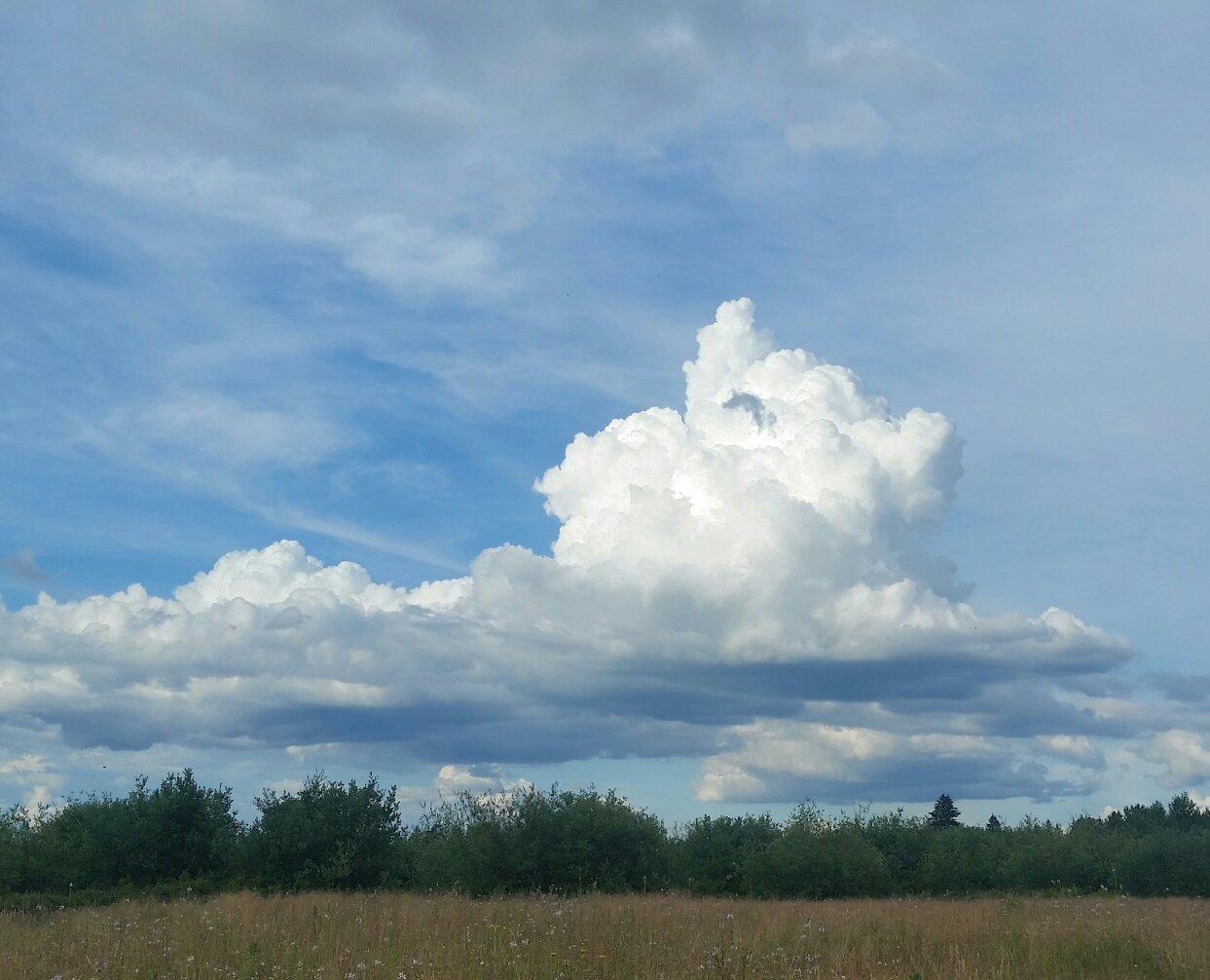 Graham Oaks Nature Park