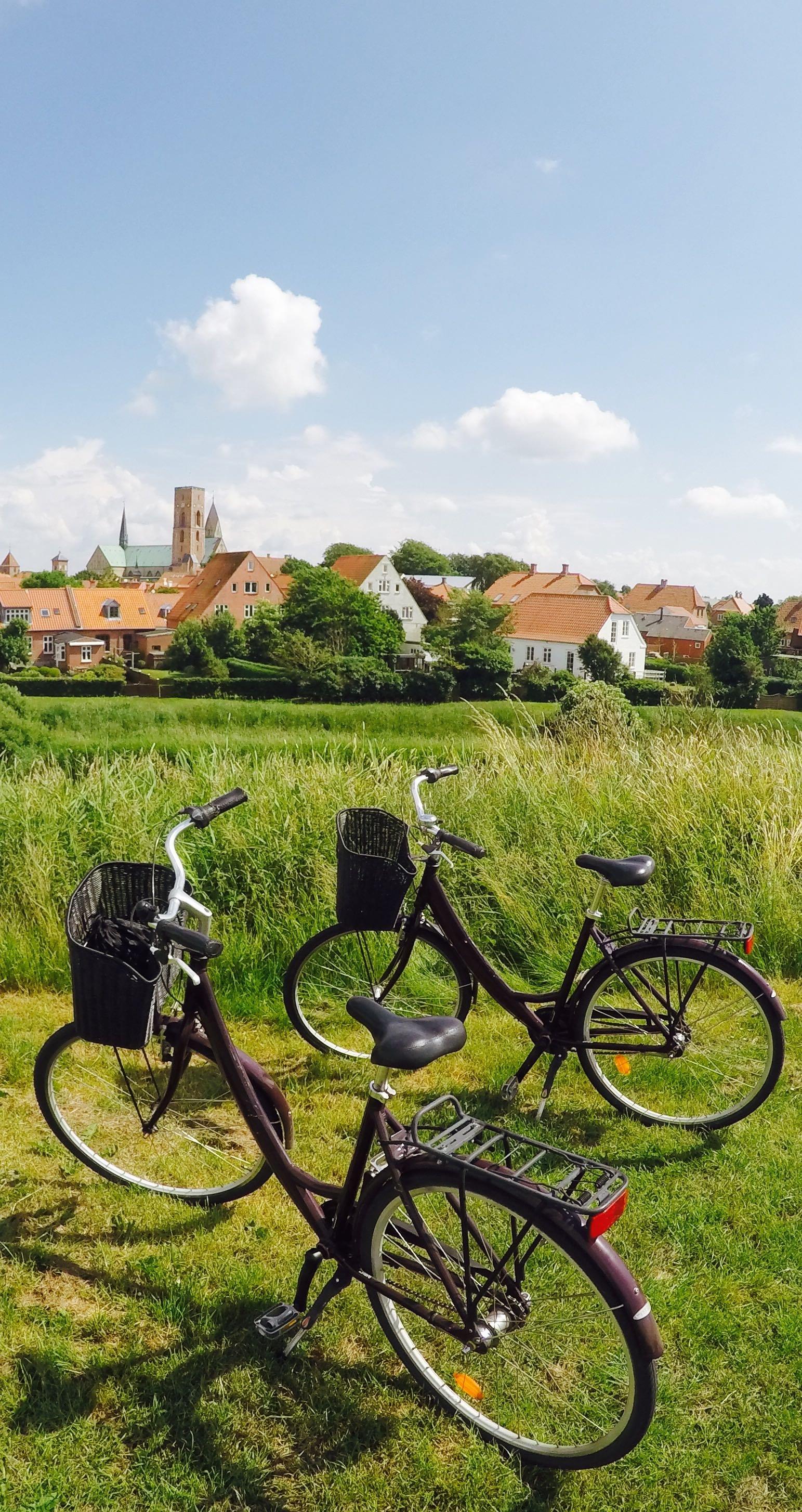 Ribe Bike Tours