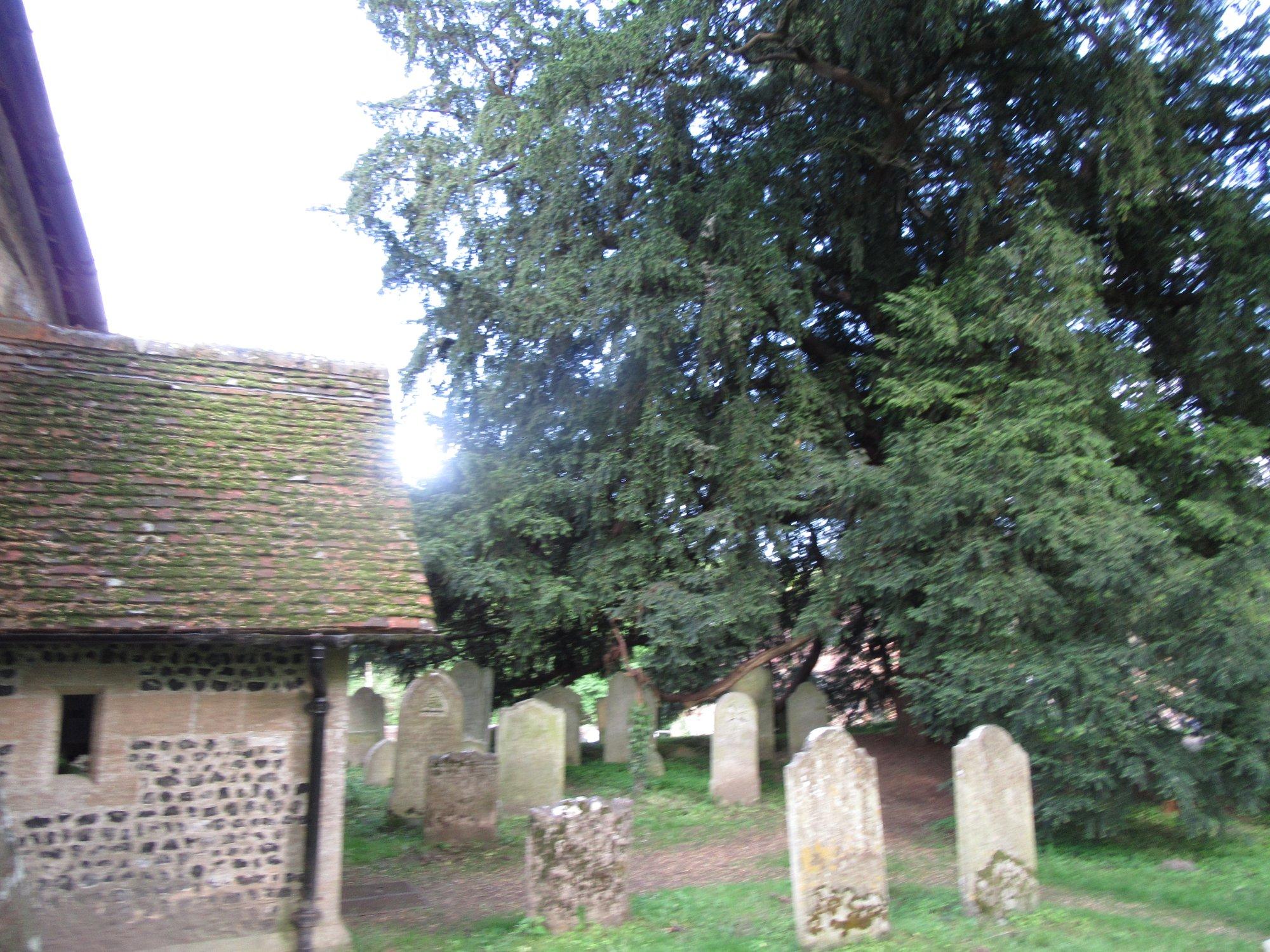 Corhampton Saxon Church