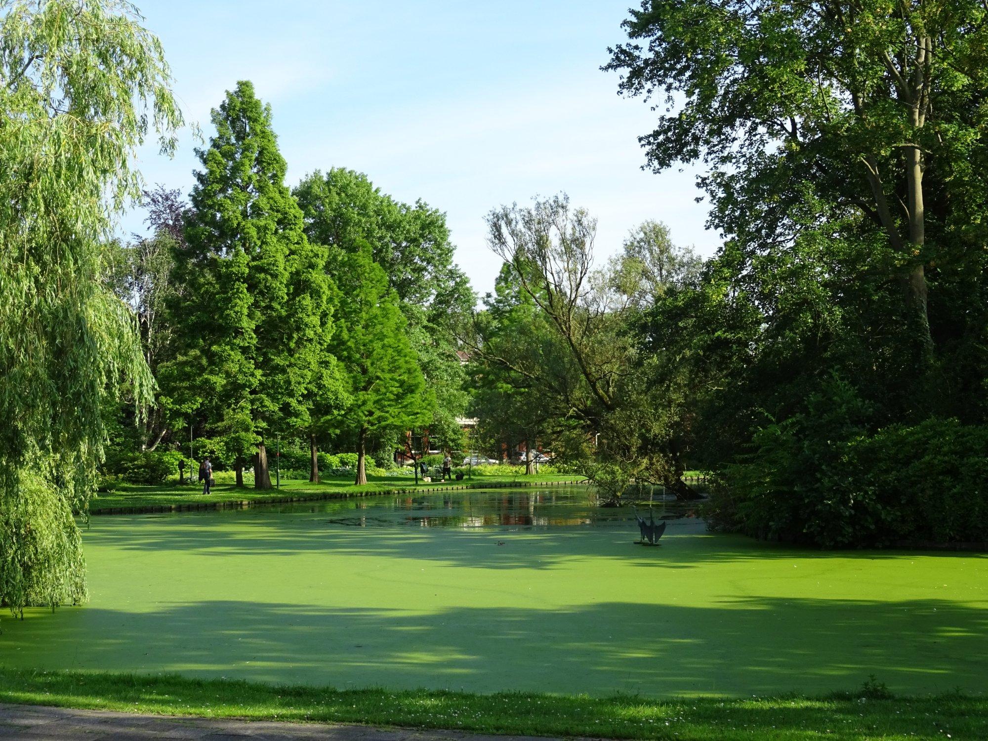 Van Bergen IJzendoornpark