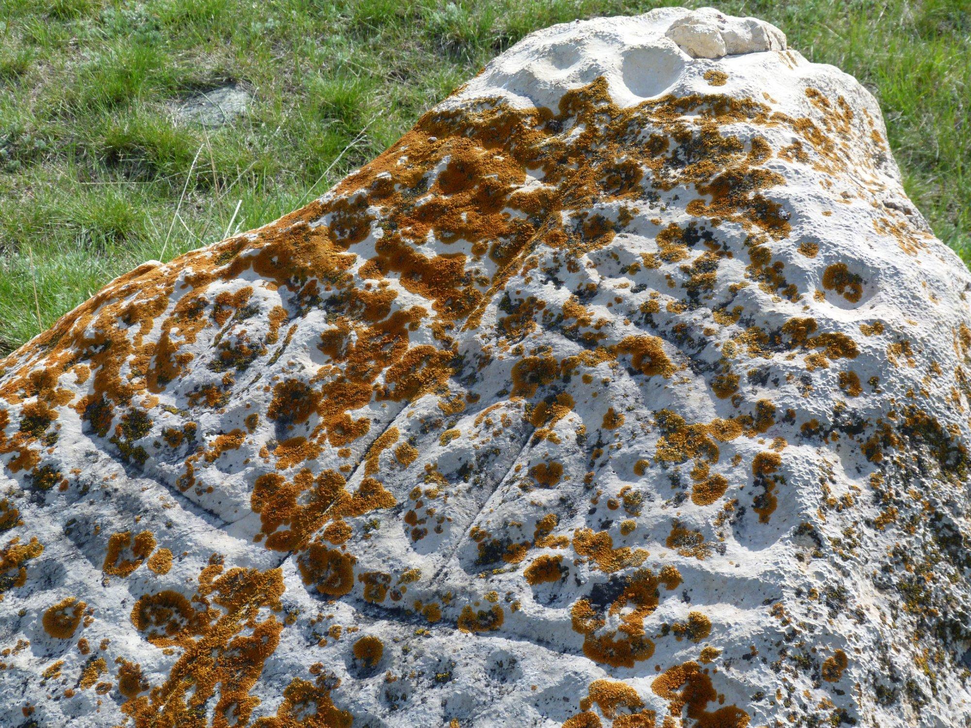 Ancient Echoes Interpretive Centre