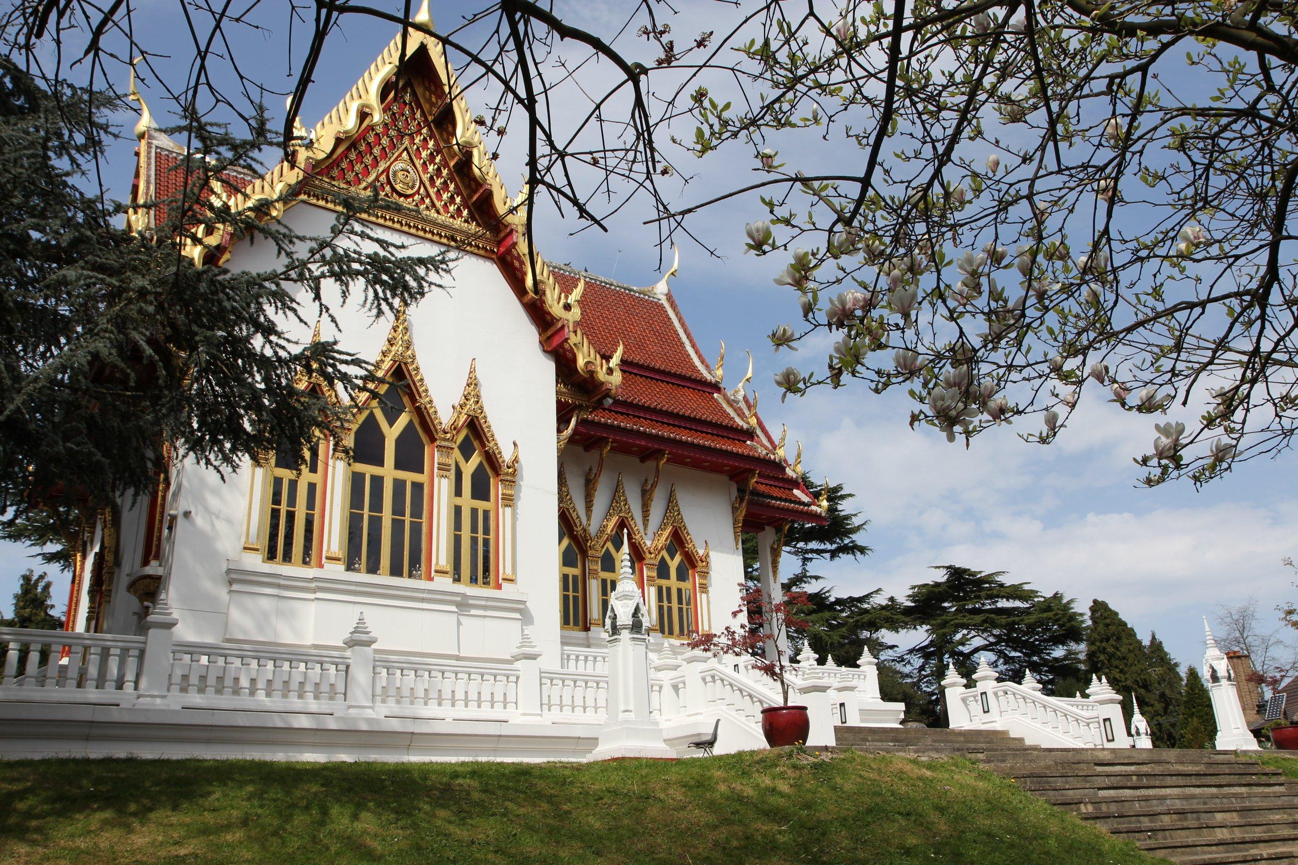 Sharedcity Experiences