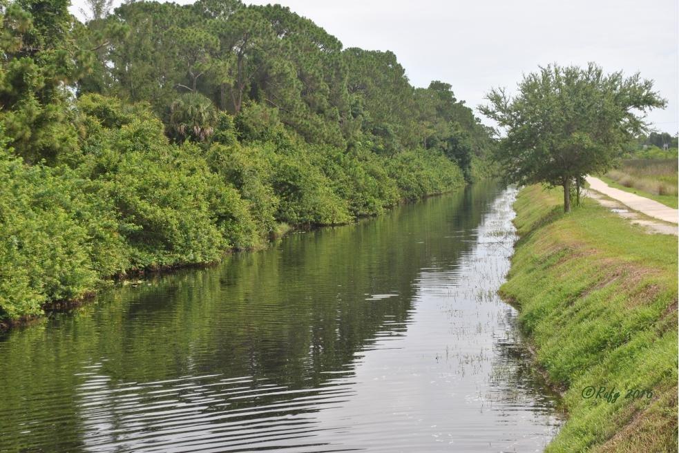 John Yarbrough Linear Park