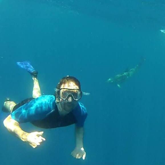 Moguntia - Nage avec Dauphins