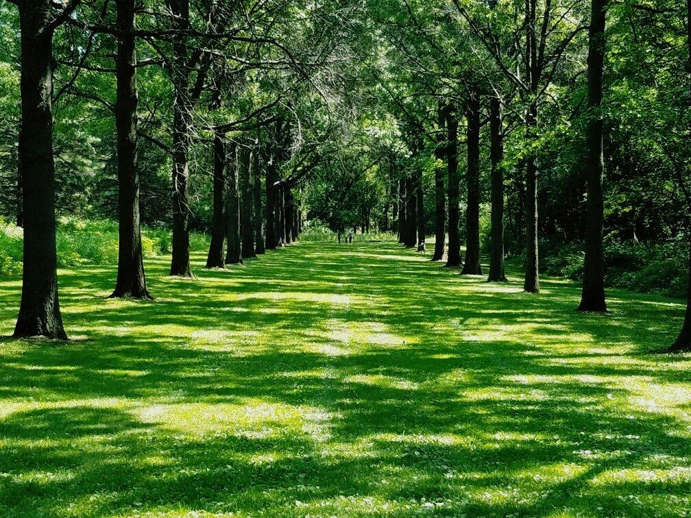 Danada Forest Preserve