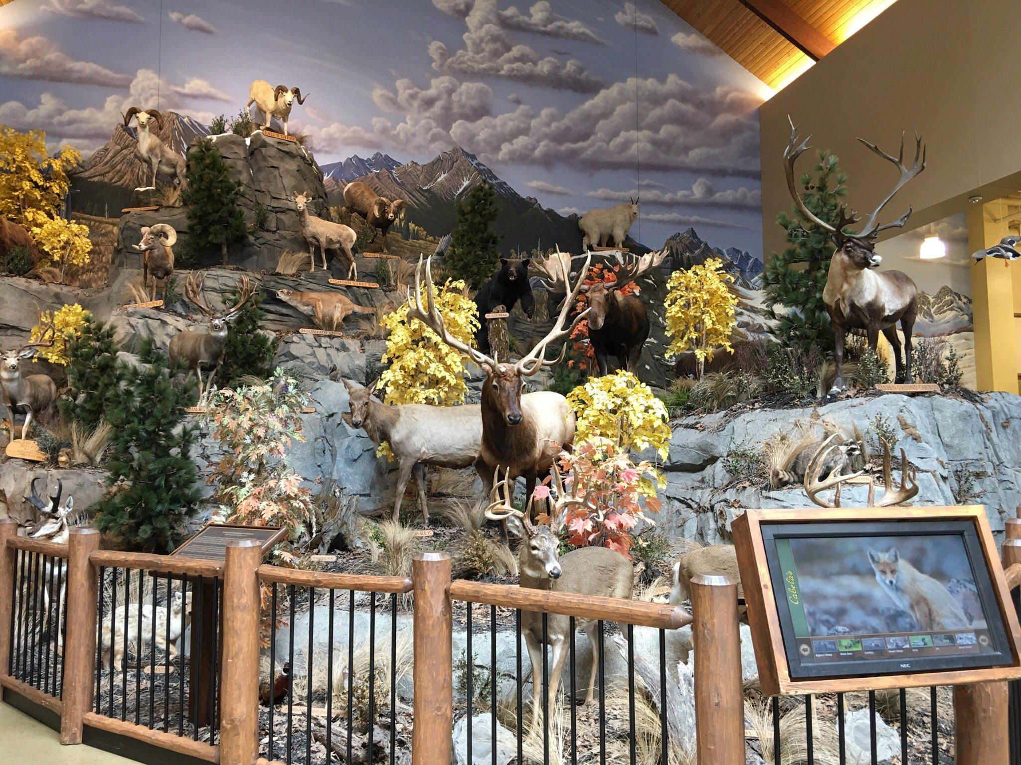 Photo by PatriciaGibson