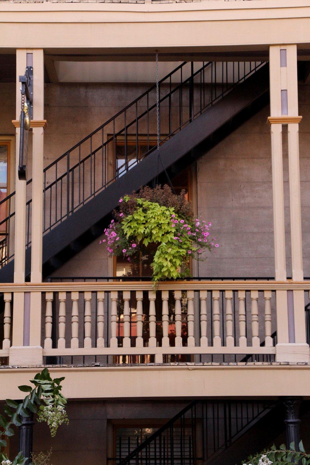 Savannah Photo Outings