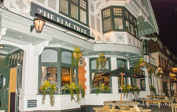 The Elm Tree