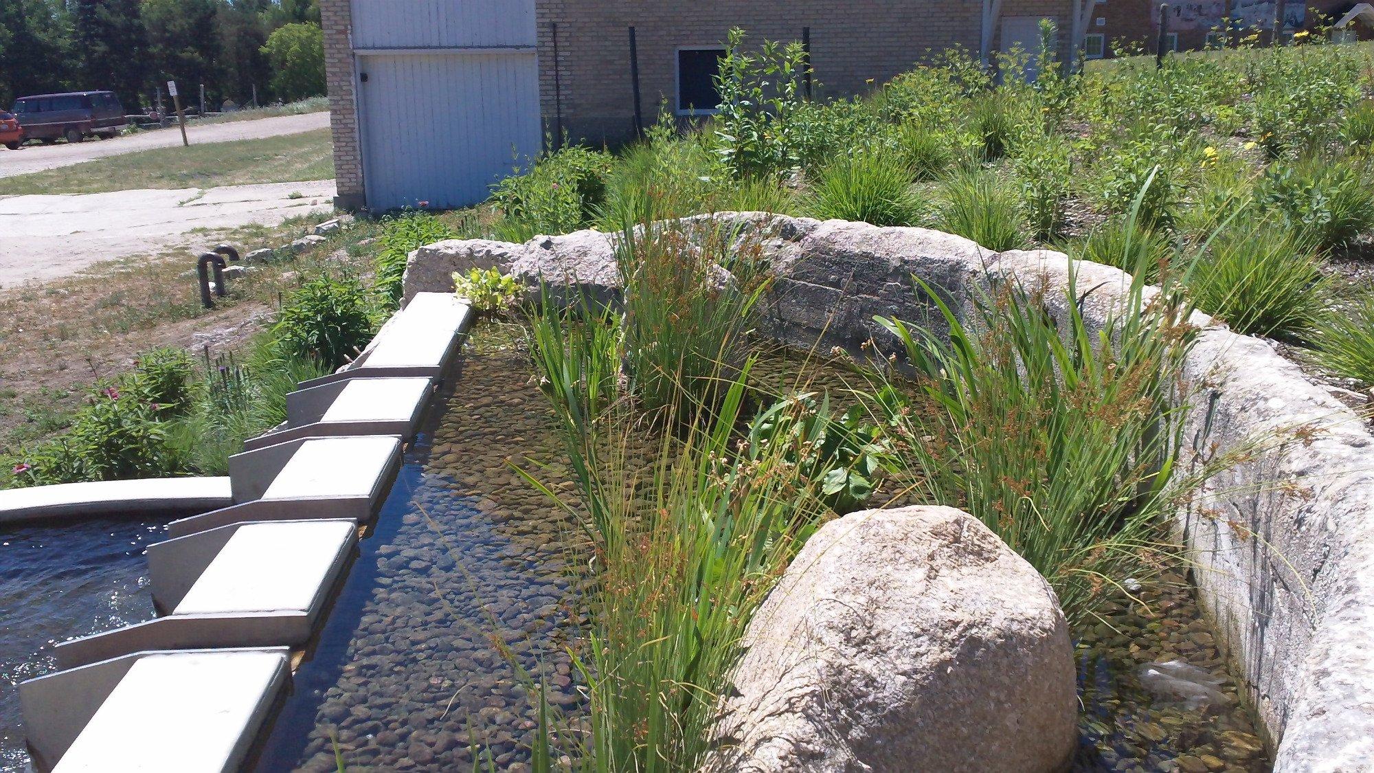 The Botanic Garden at Historic Barns Park