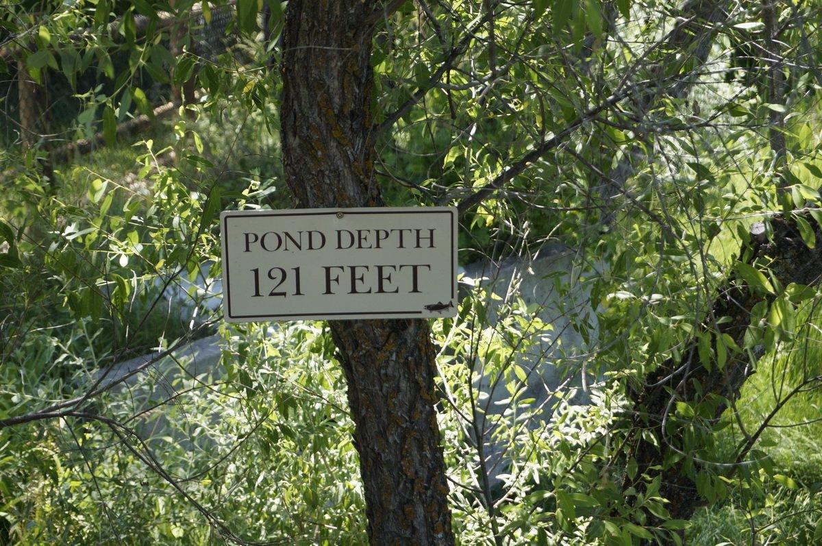 McNenny State Fish Hatchery