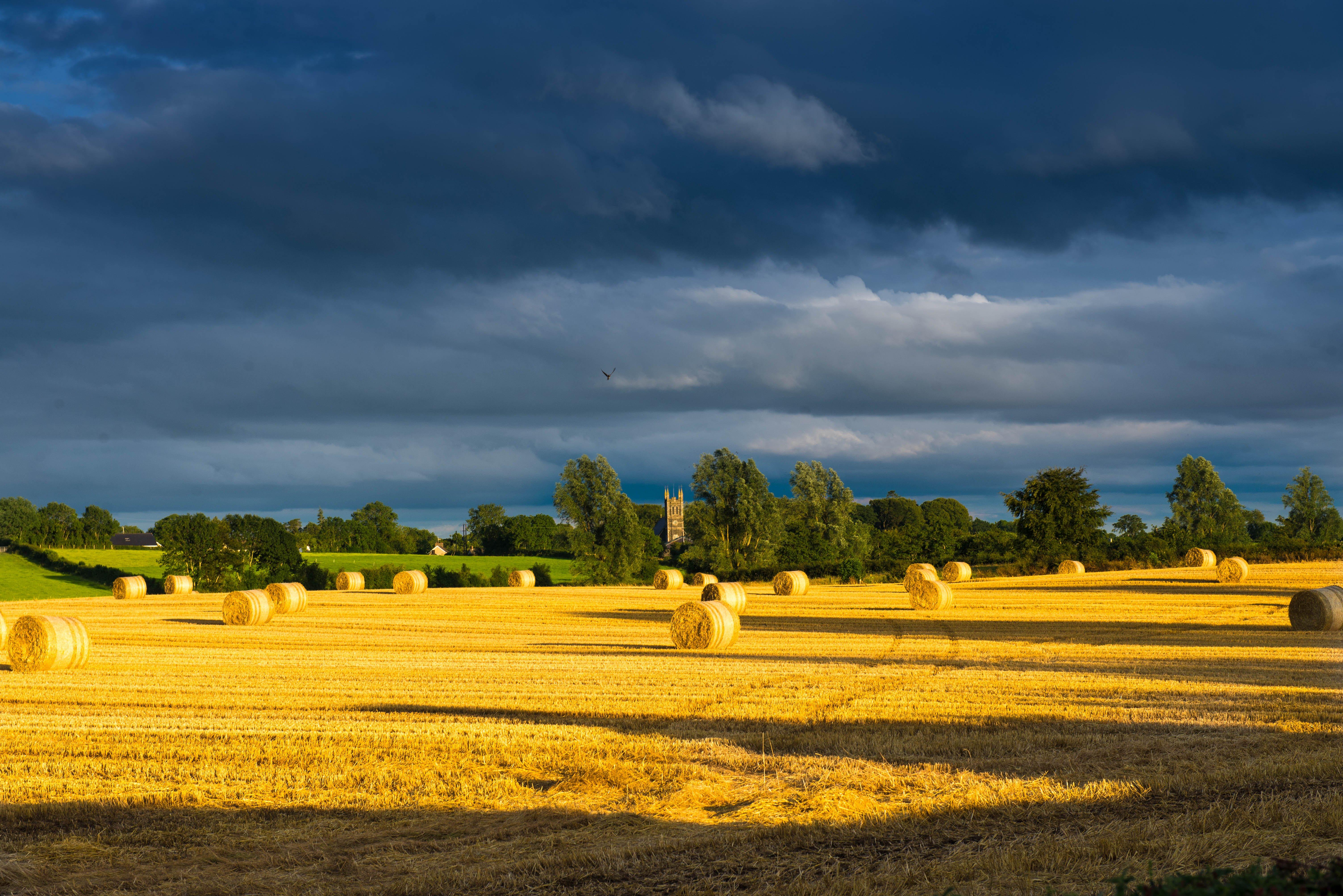 InSite Tours Ireland