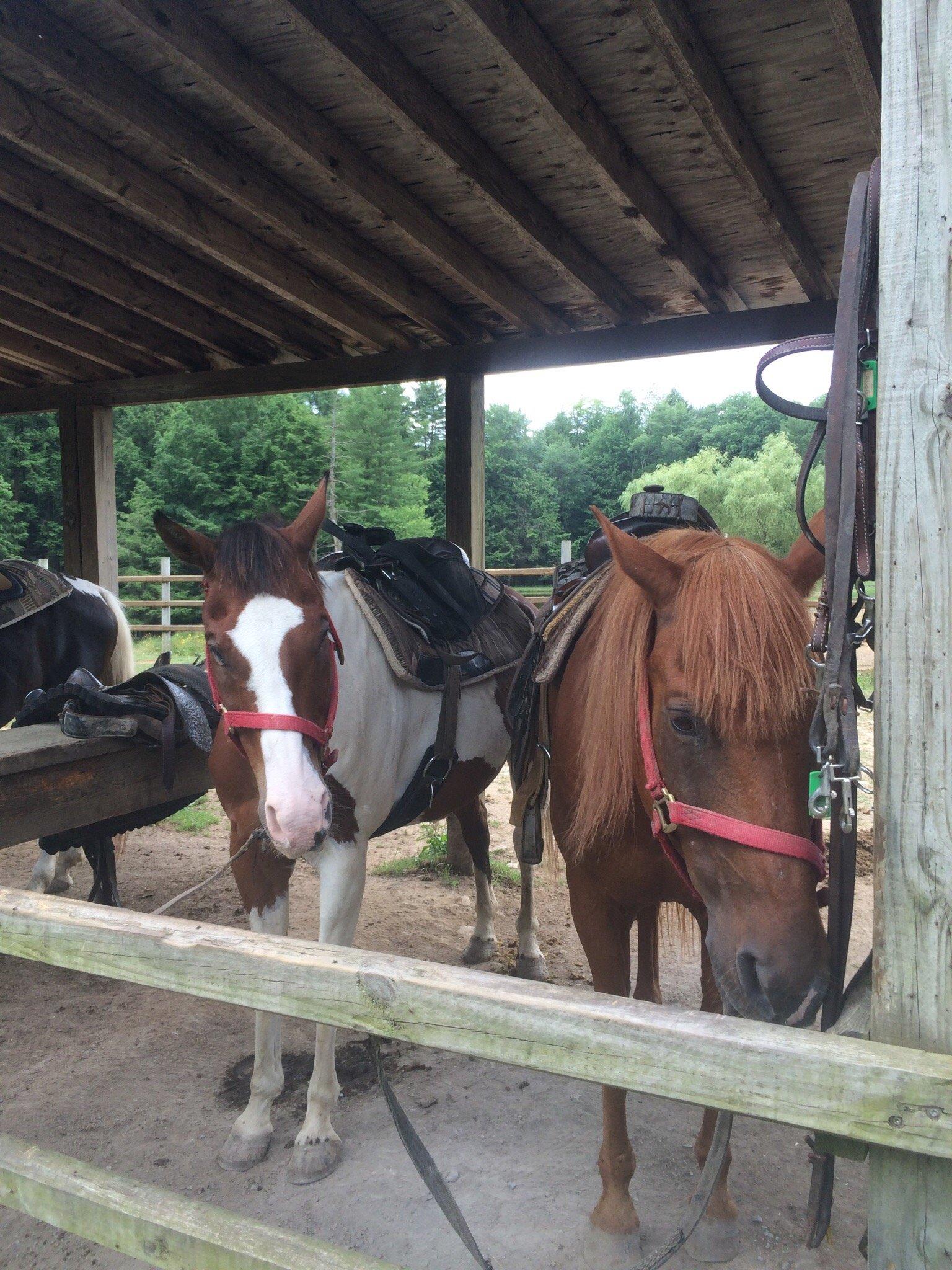 Silver Stallion Stables