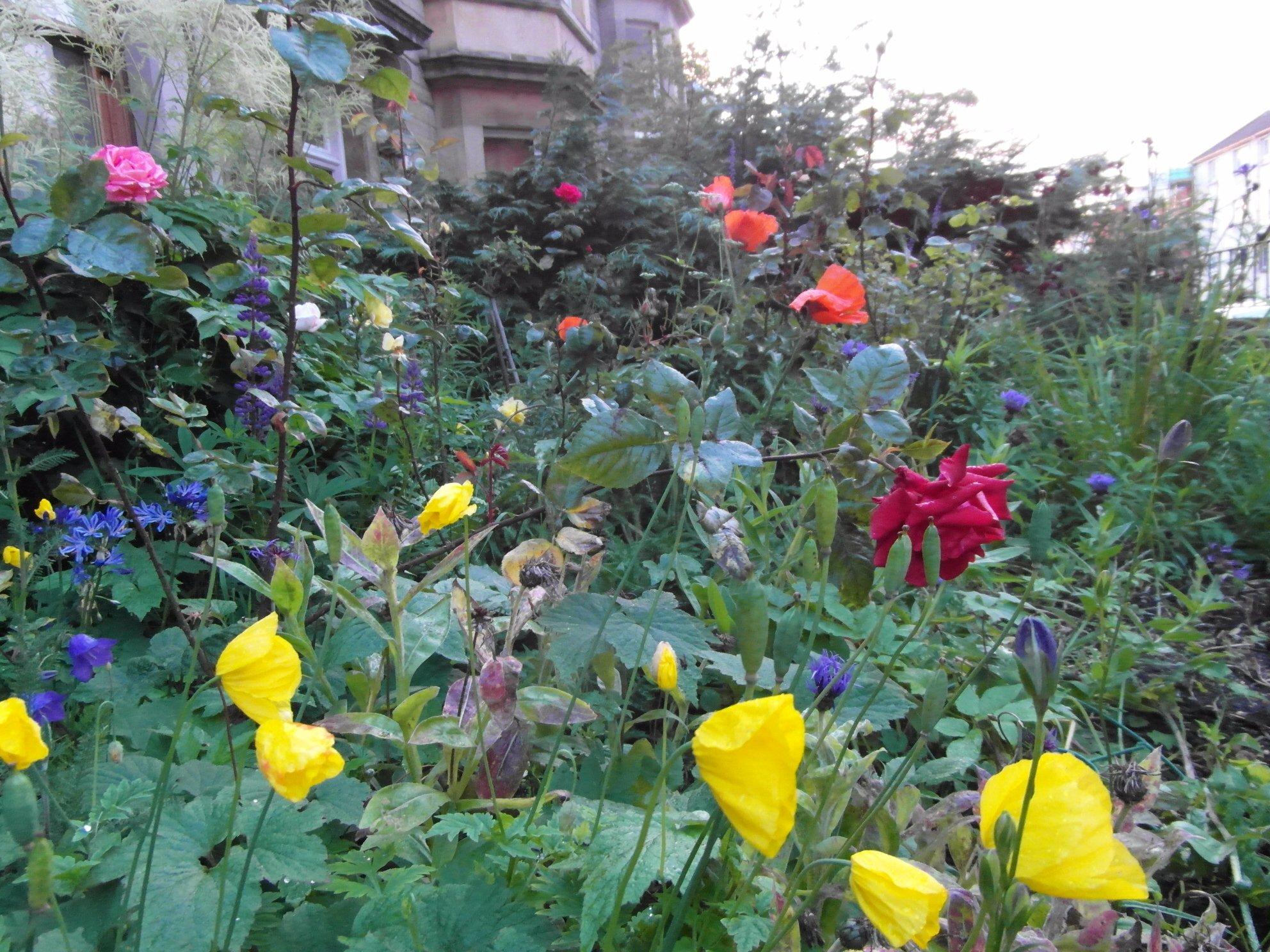 Carrington Guest House