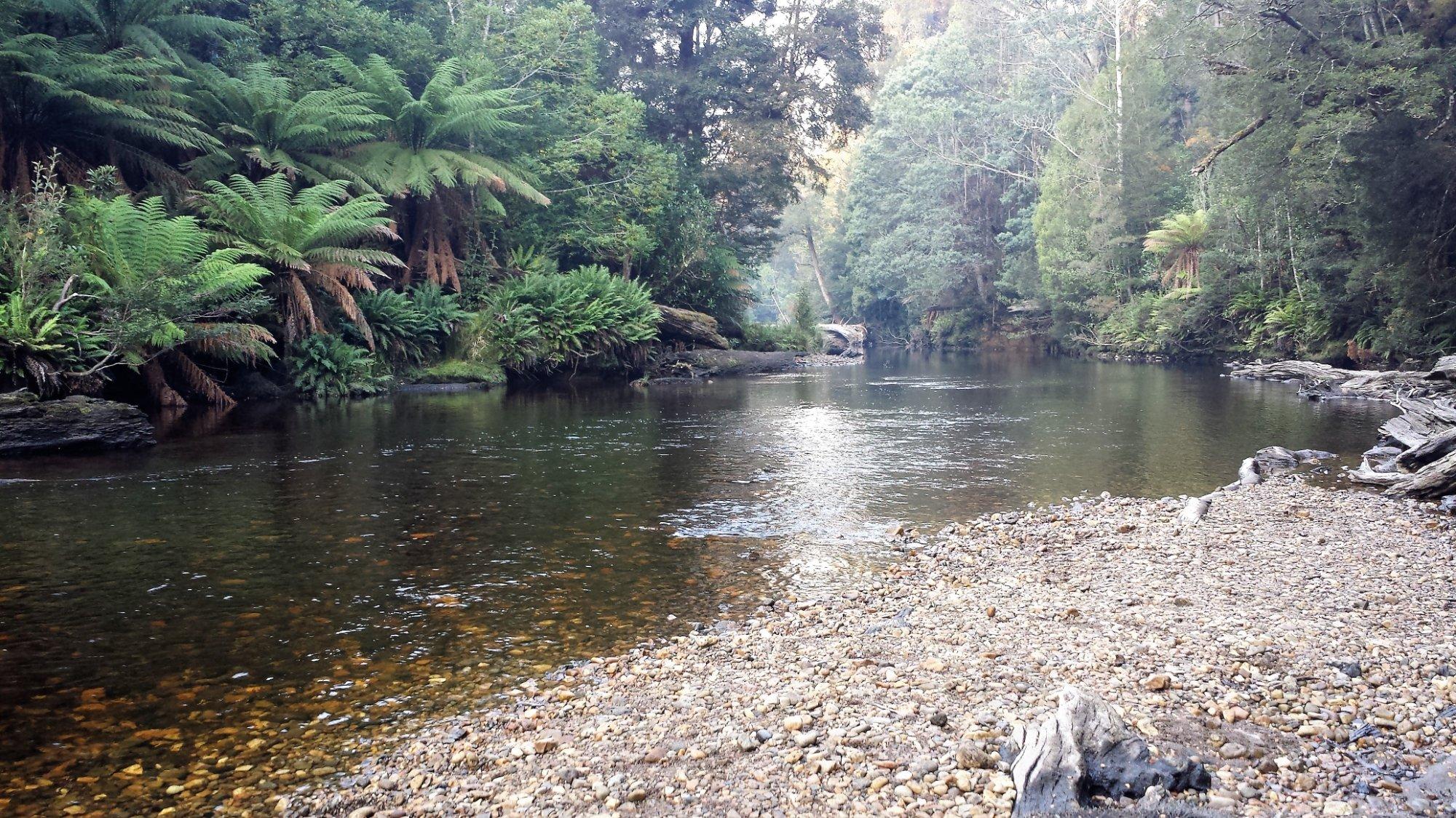 Photo by RickOneThree