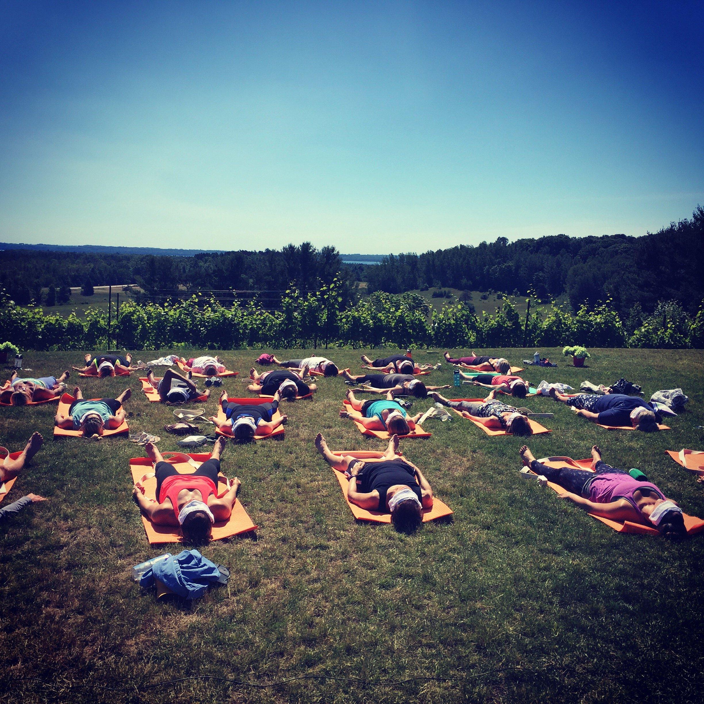 Yoga in the Vines