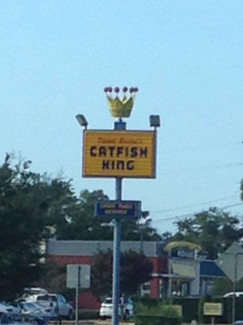 Photo by WildHaireAdventures