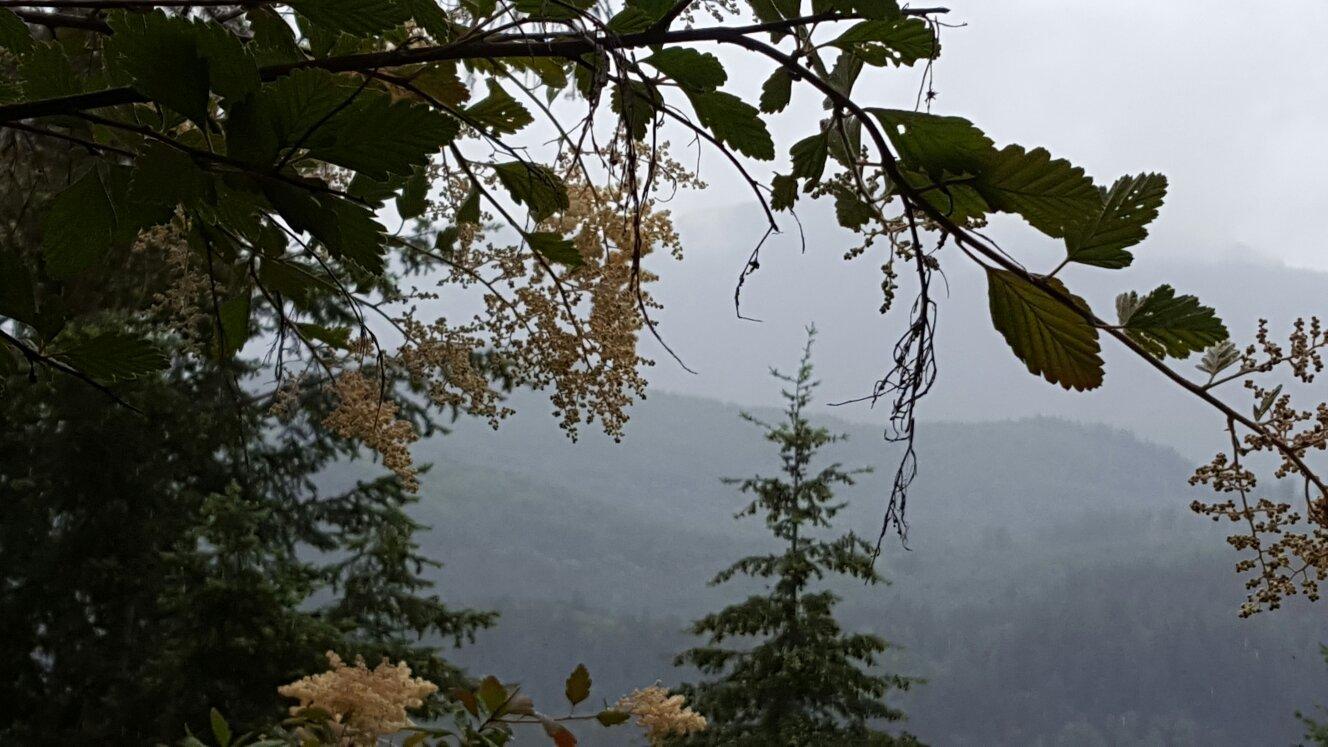 E Z Times Guided Trail Rides