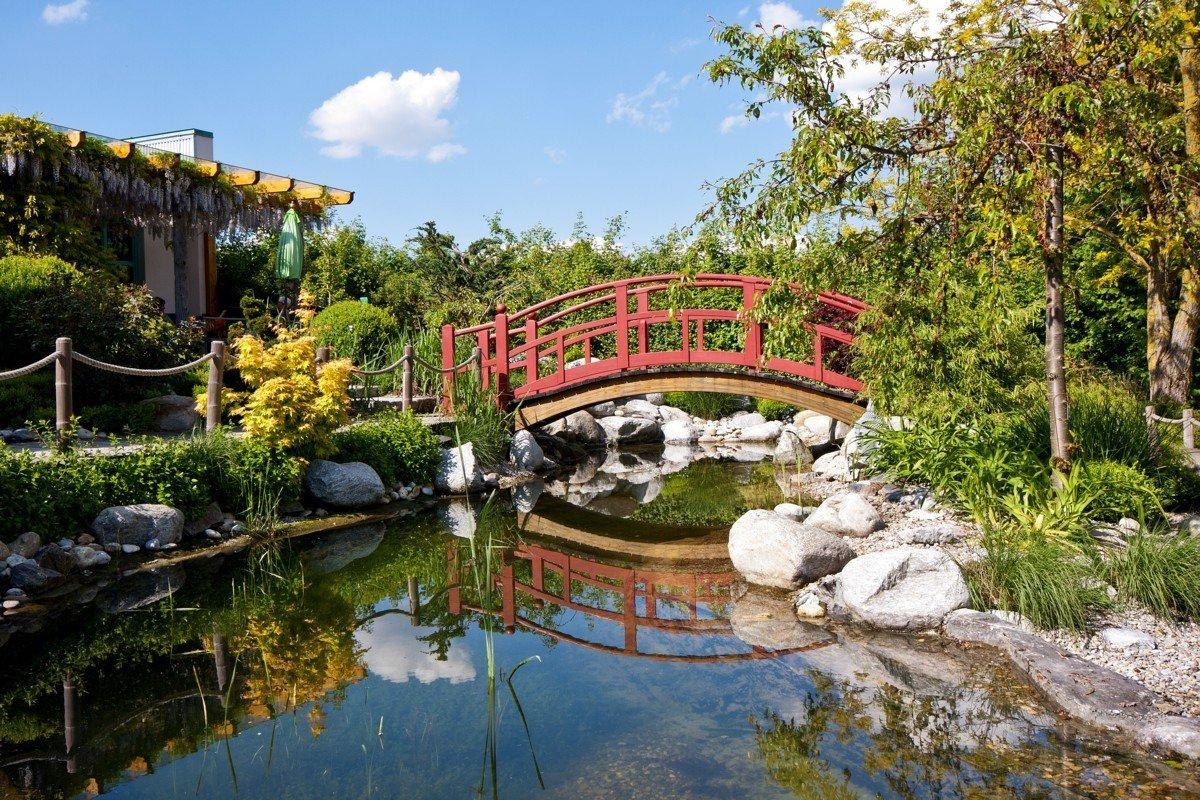 Leyk´s Lotos-Garten