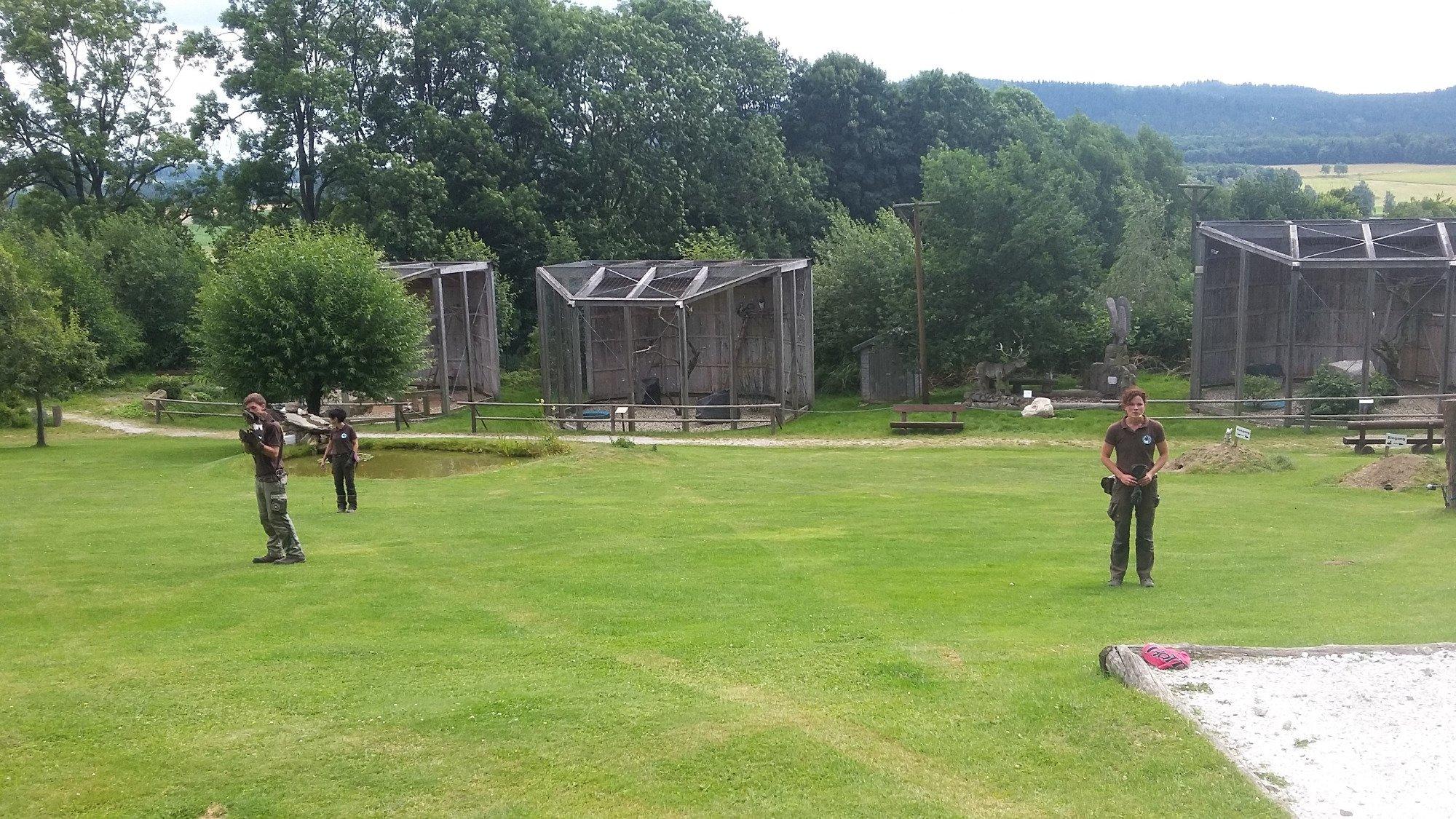 Falknerei Greifvogelpark