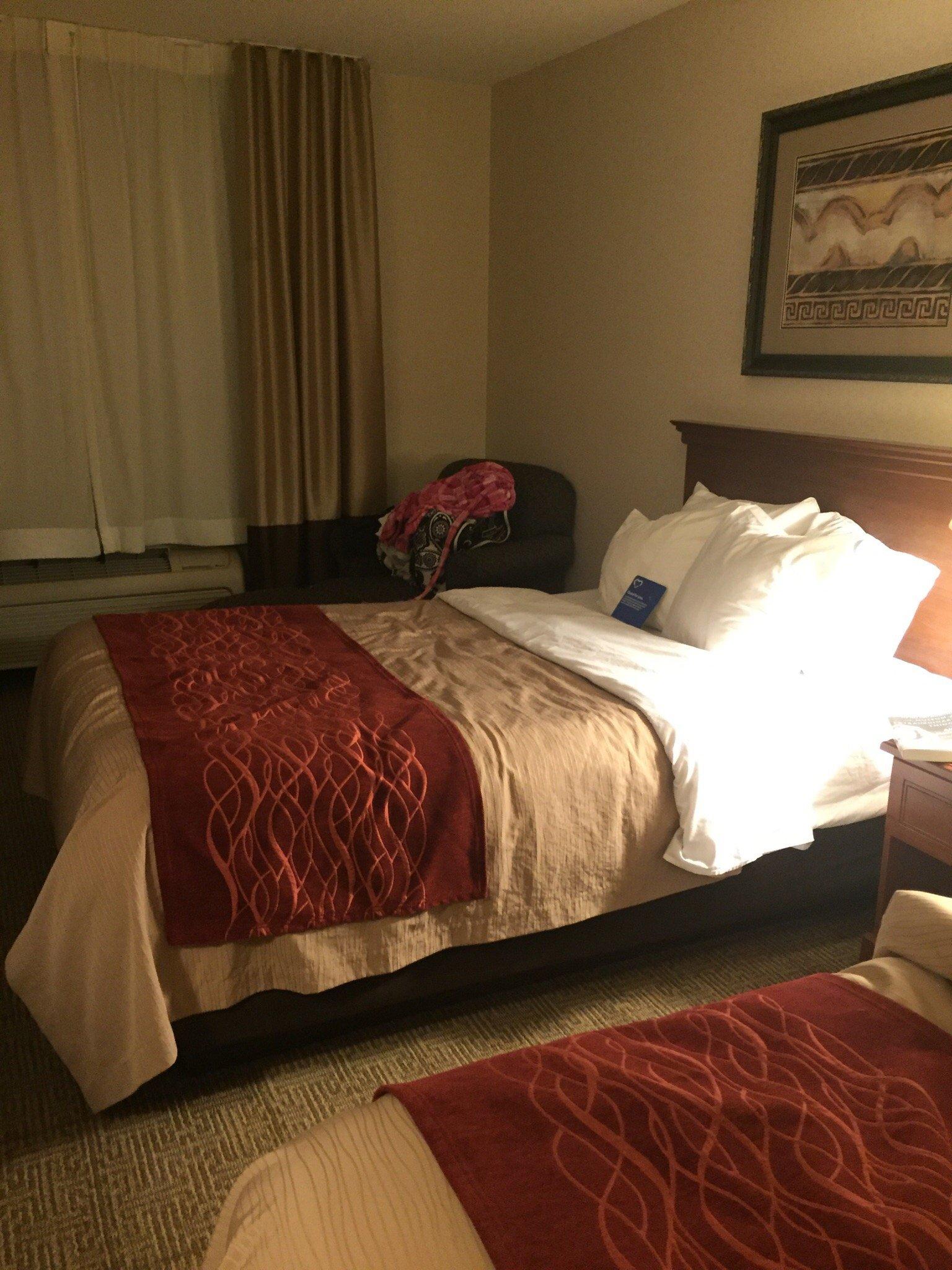 Comfort Inn & Suites Lansing - Dimondale