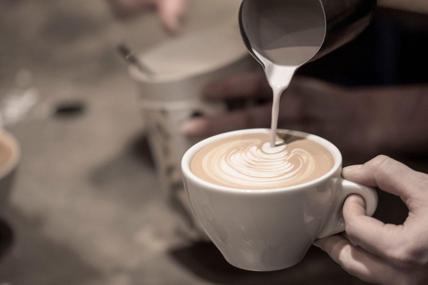 Fratello Torrefazione