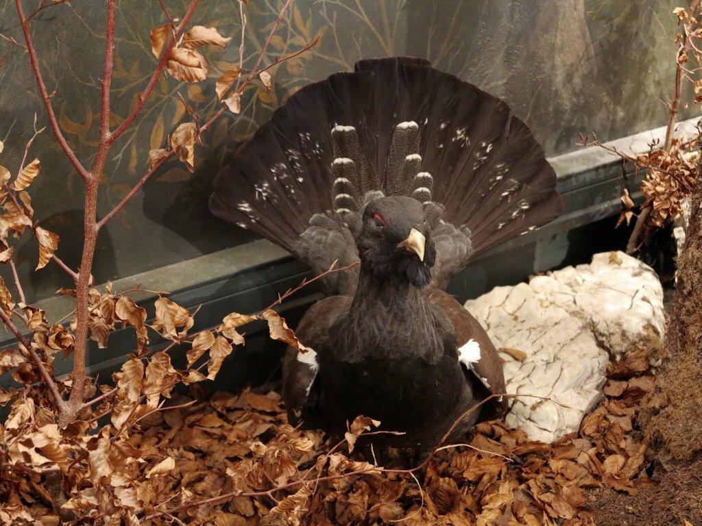 Maison de la Réserve Naturelle