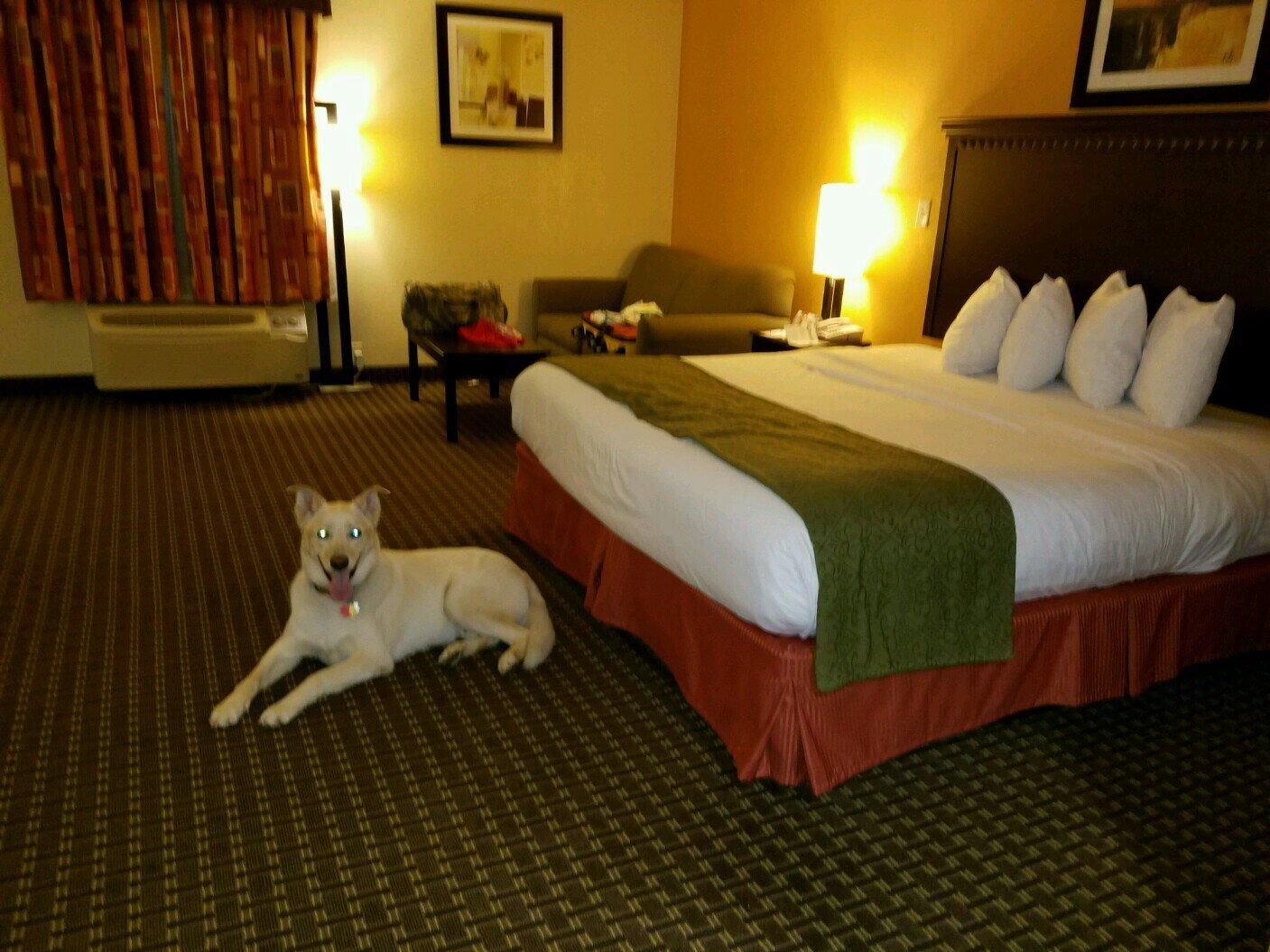 Photo by 536jennifert